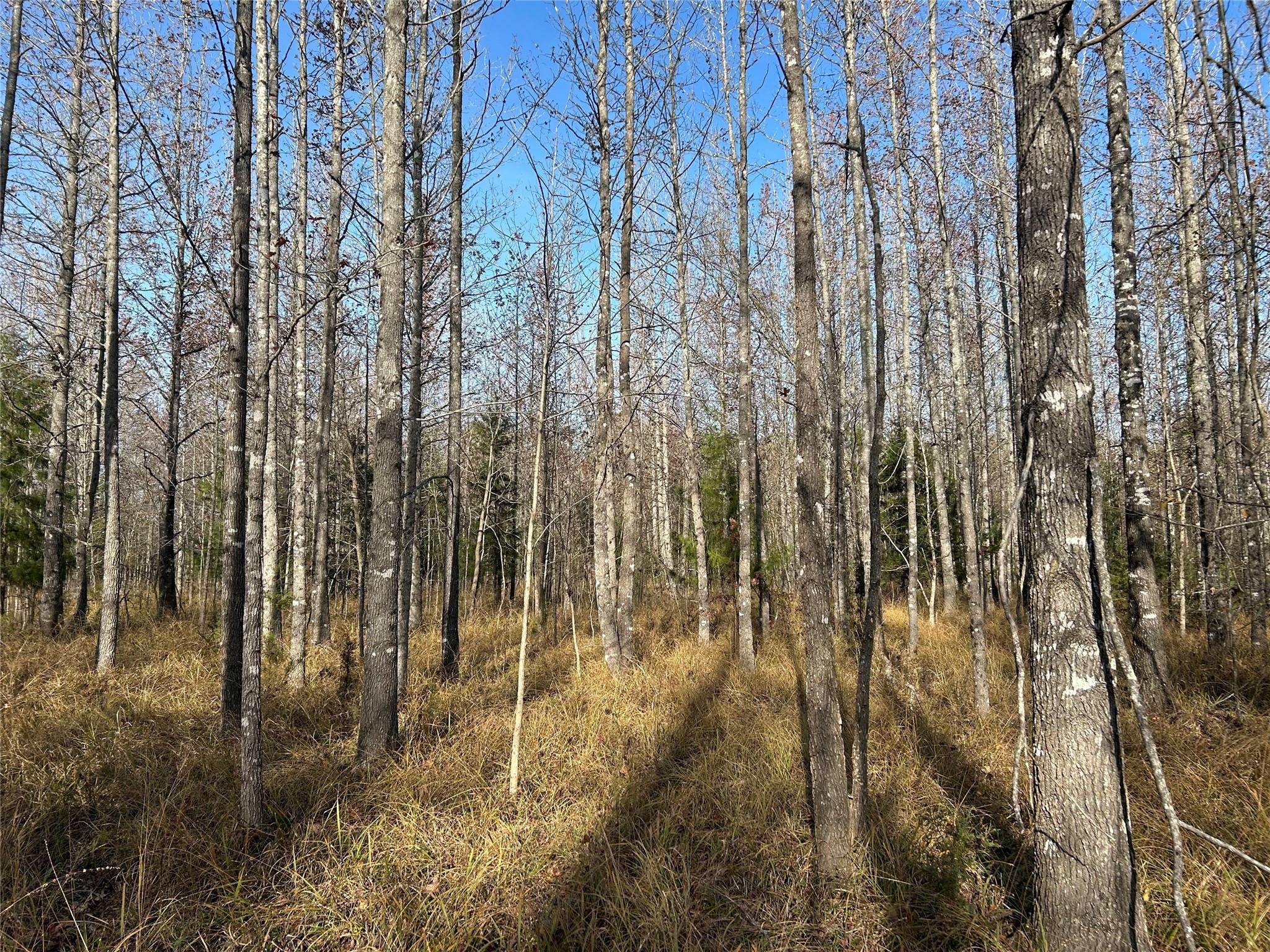 main property photo 10