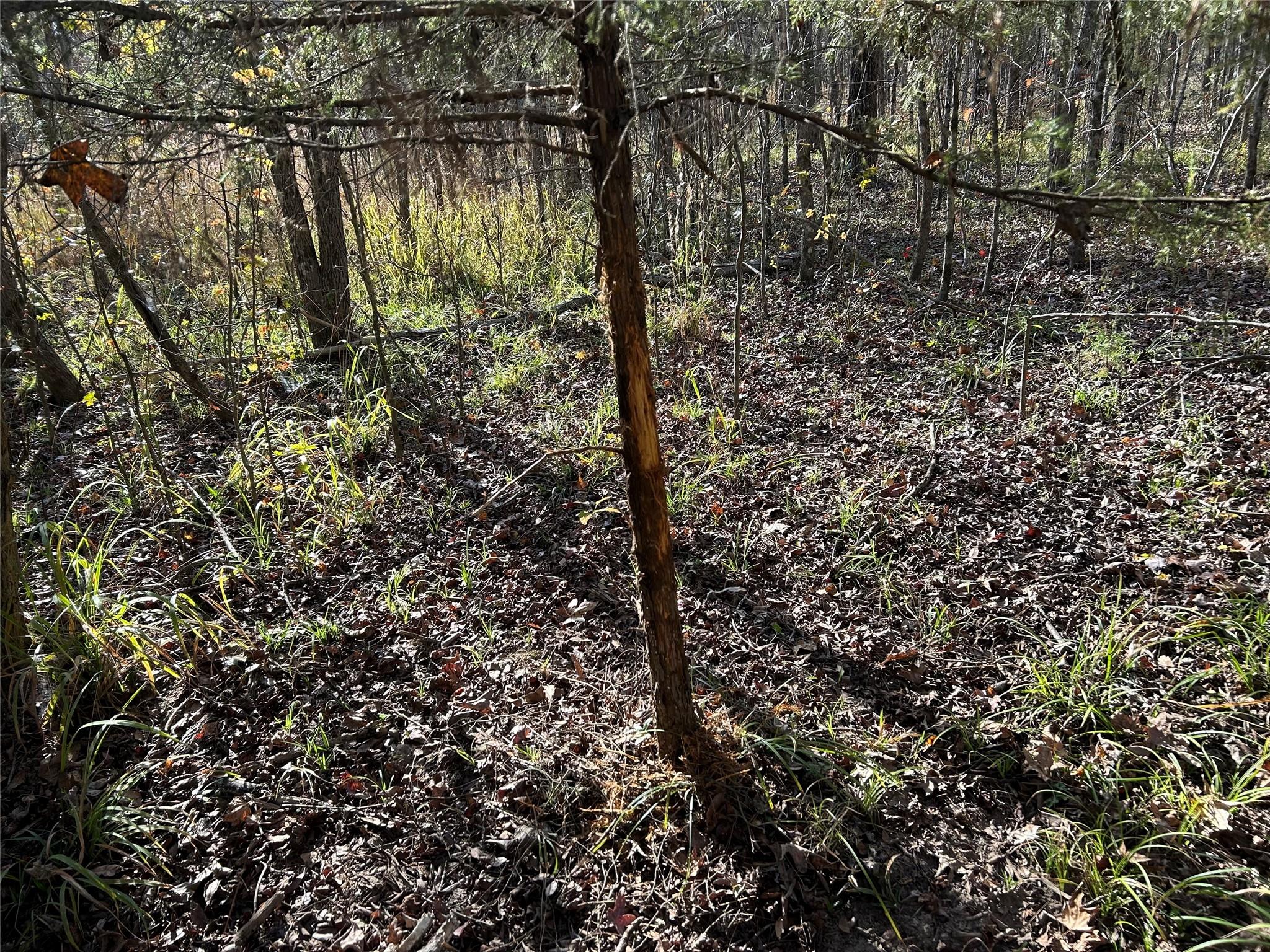 main property photo 17