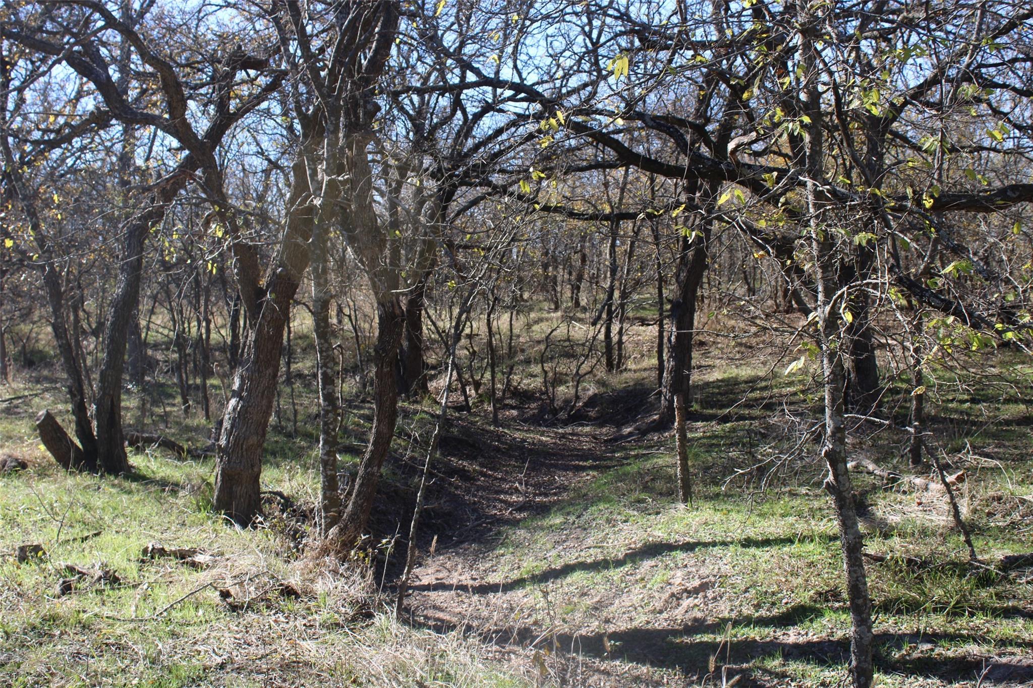 main property photo 12