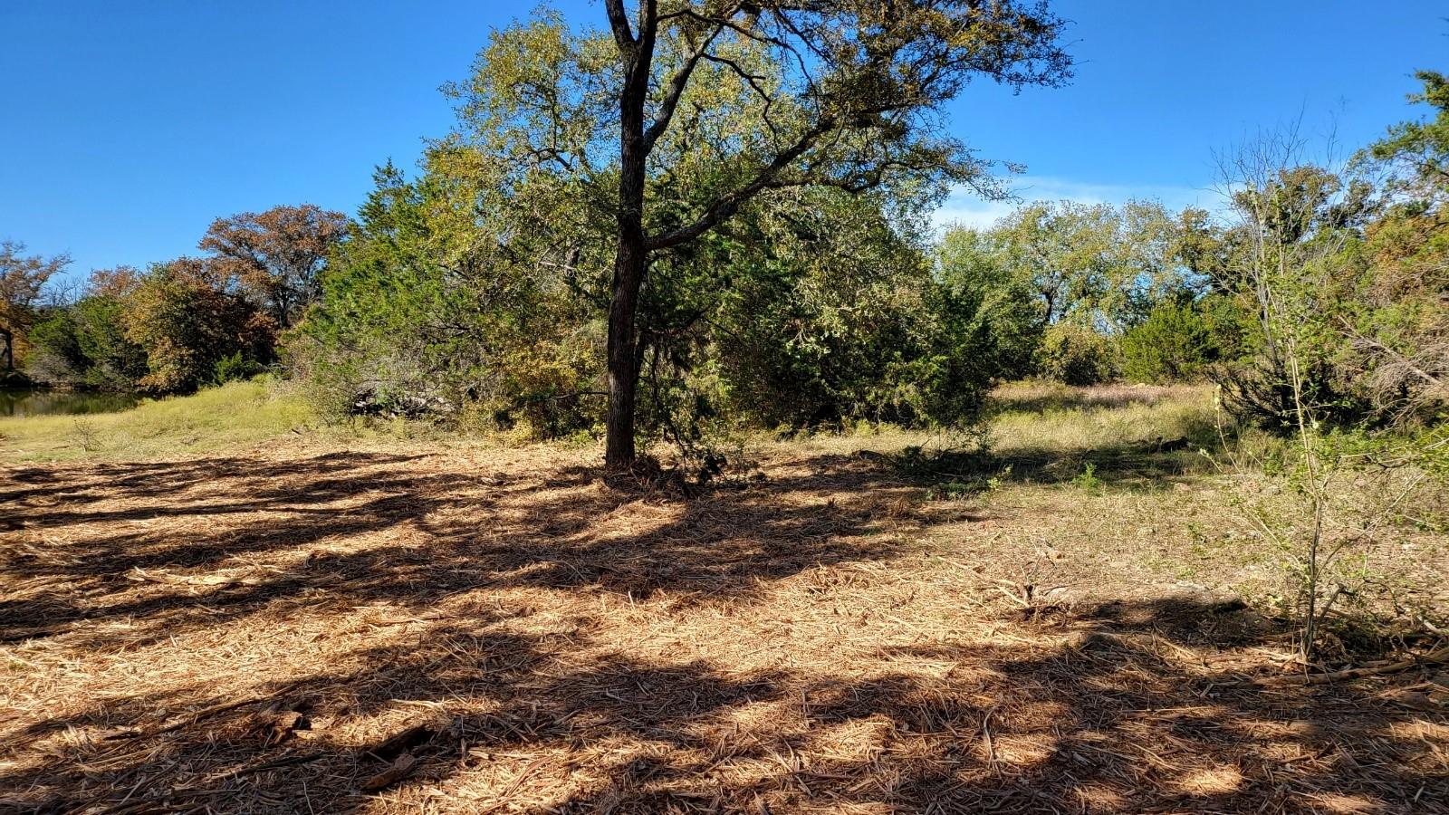 main property photo 24