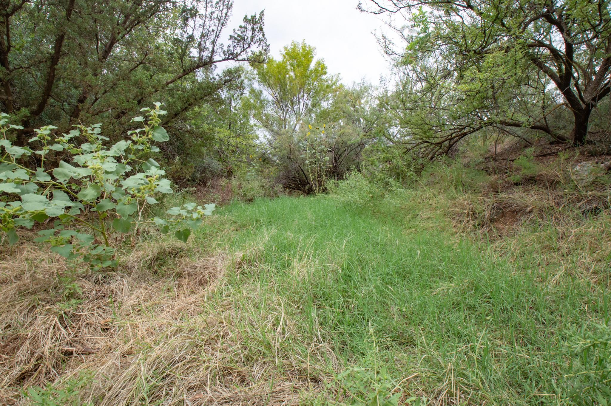 main property photo 18
