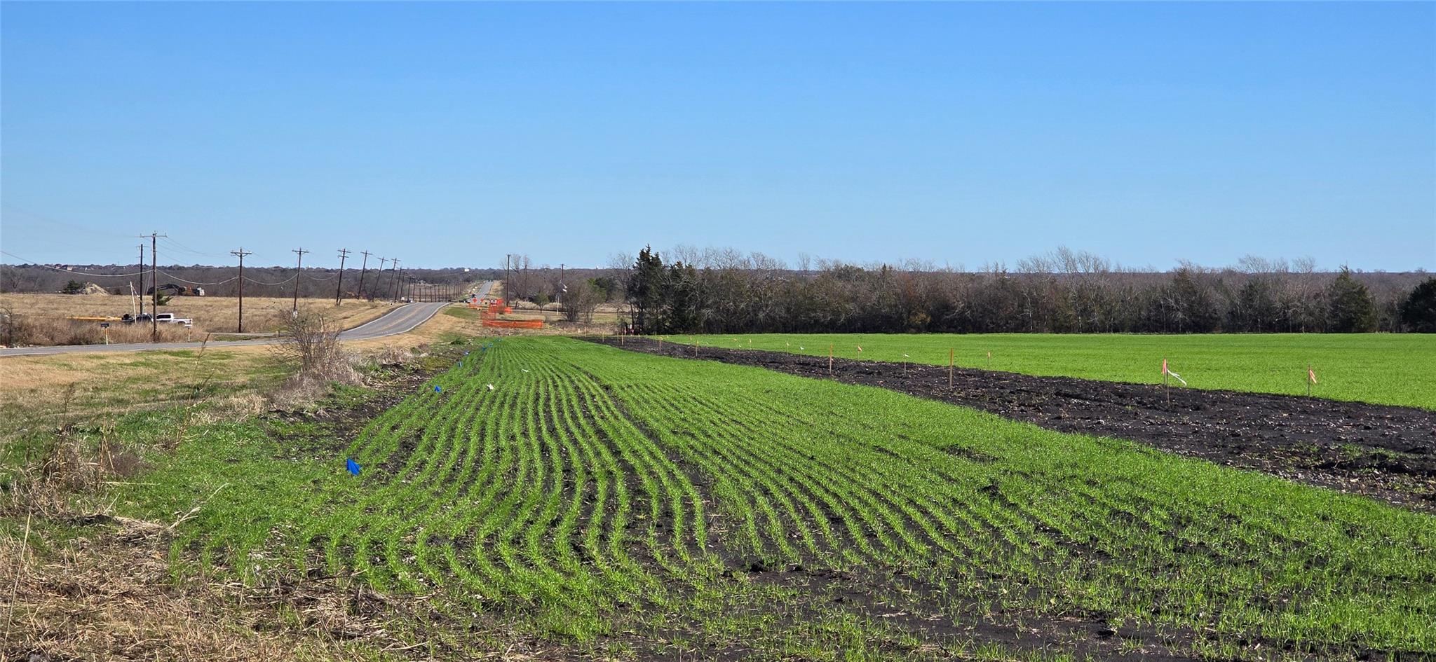 main property photo 5