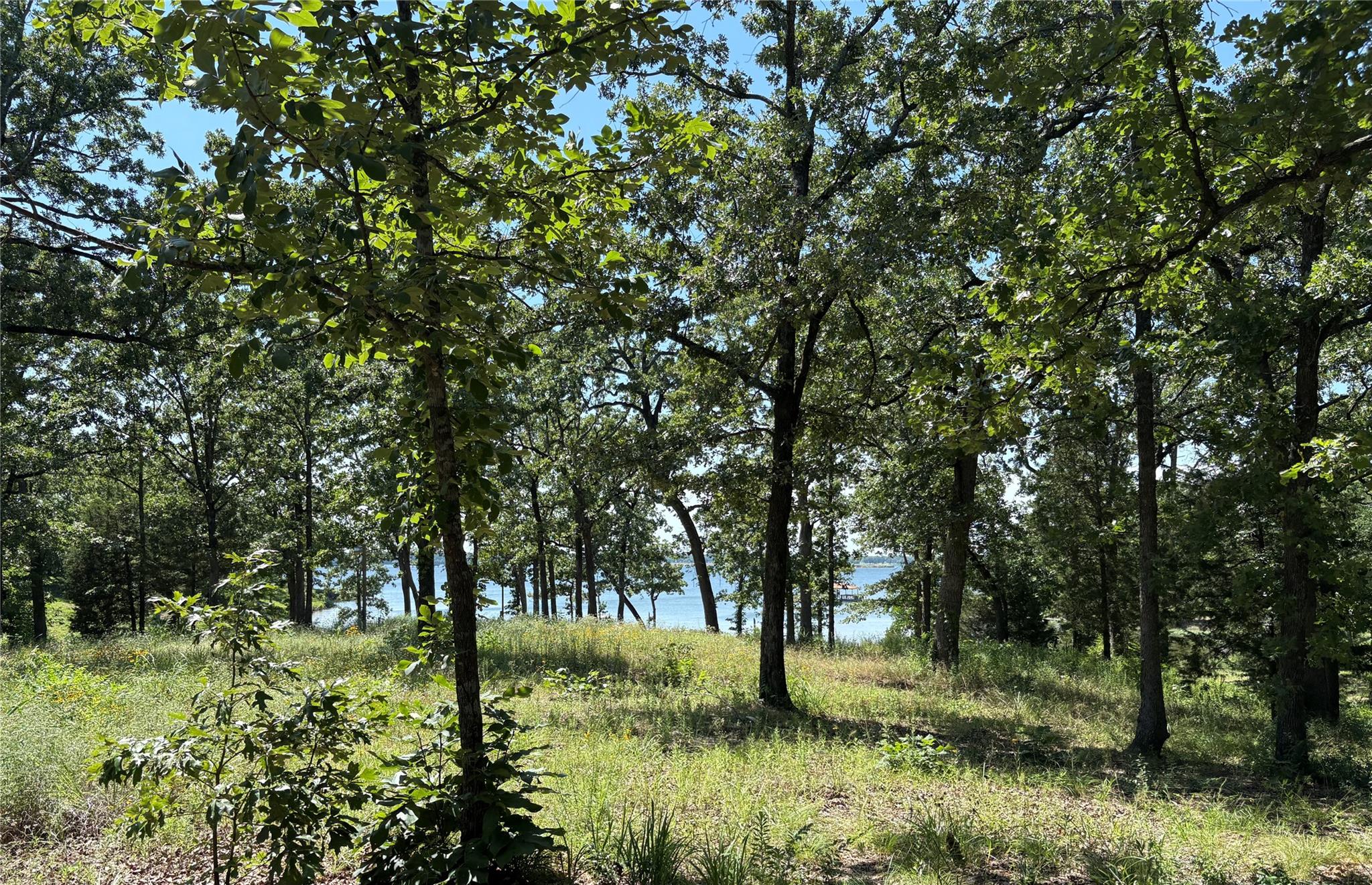 main property photo 10