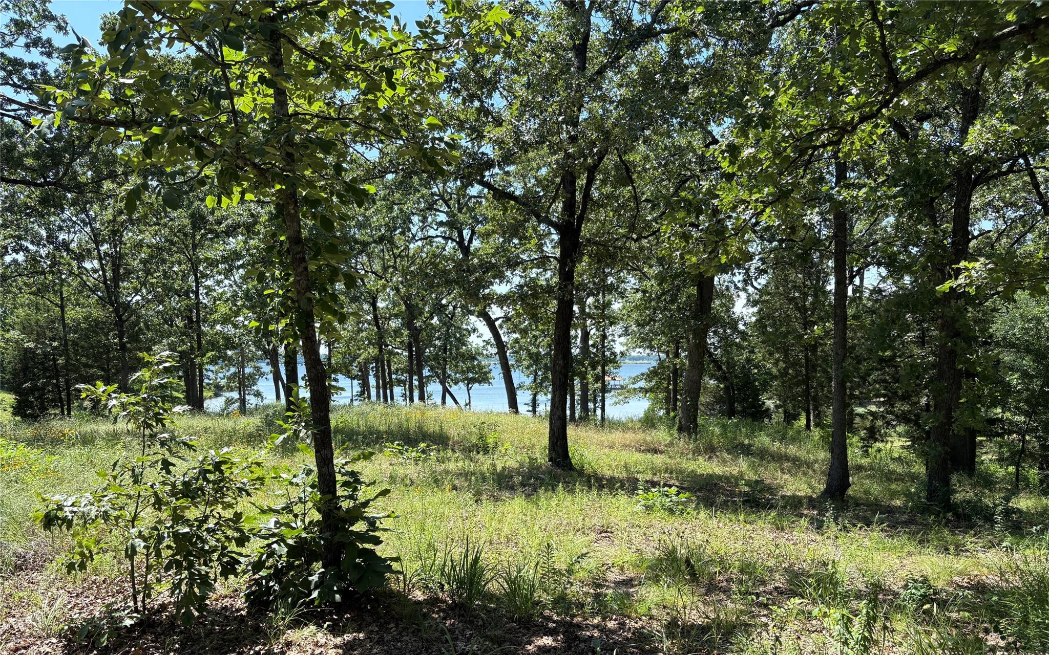 main property photo 11