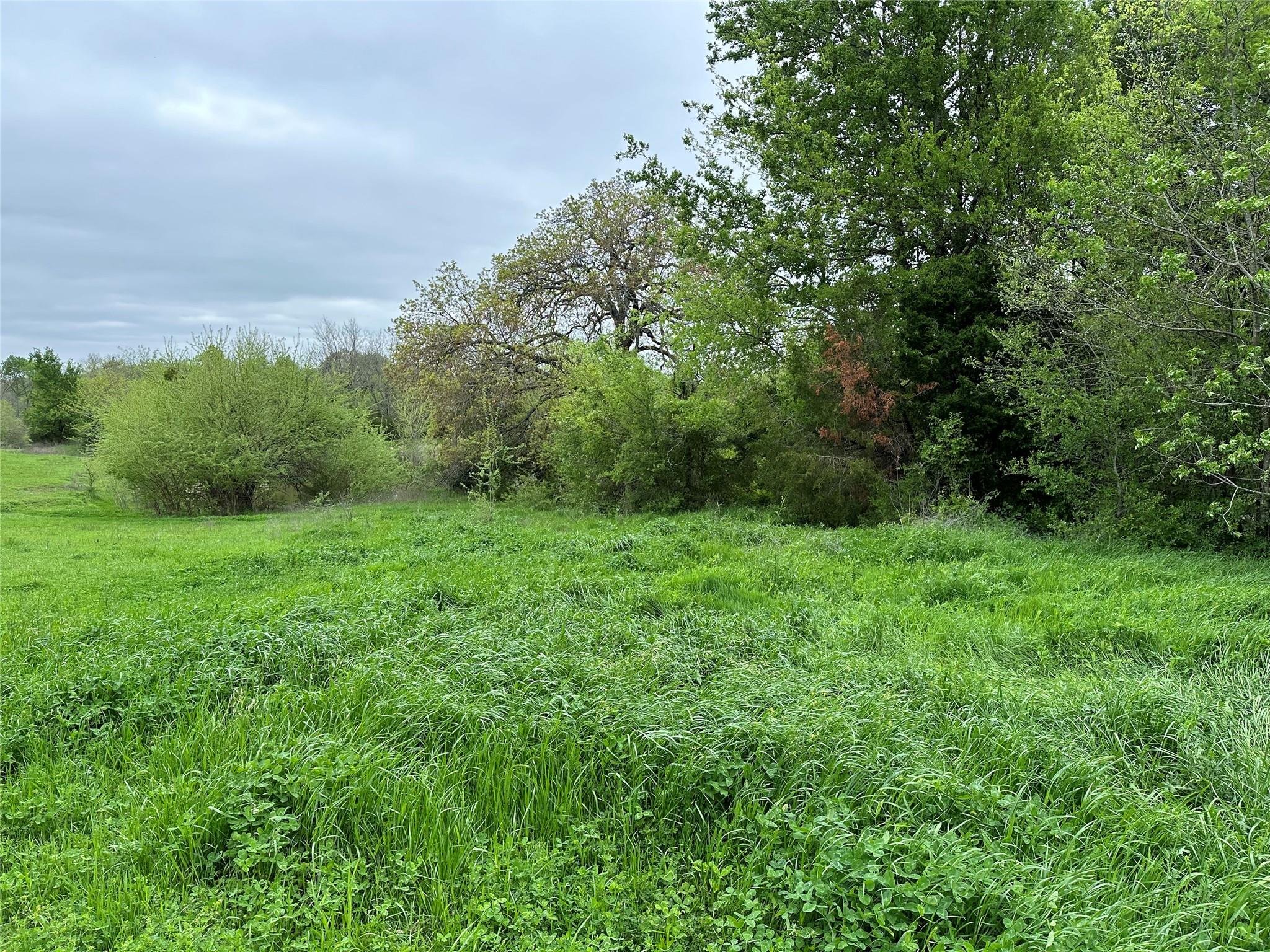 main property photo 11