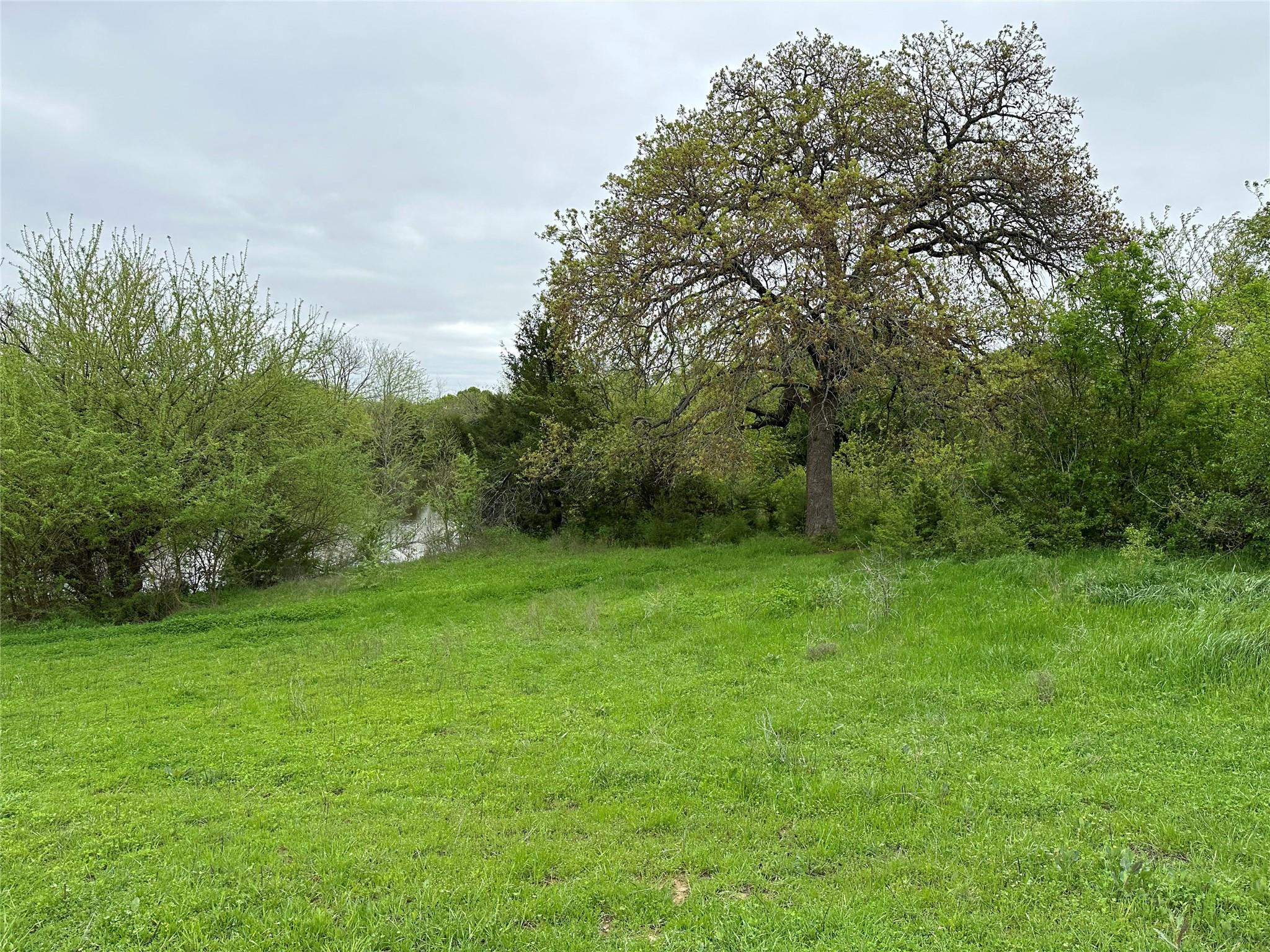 main property photo 13