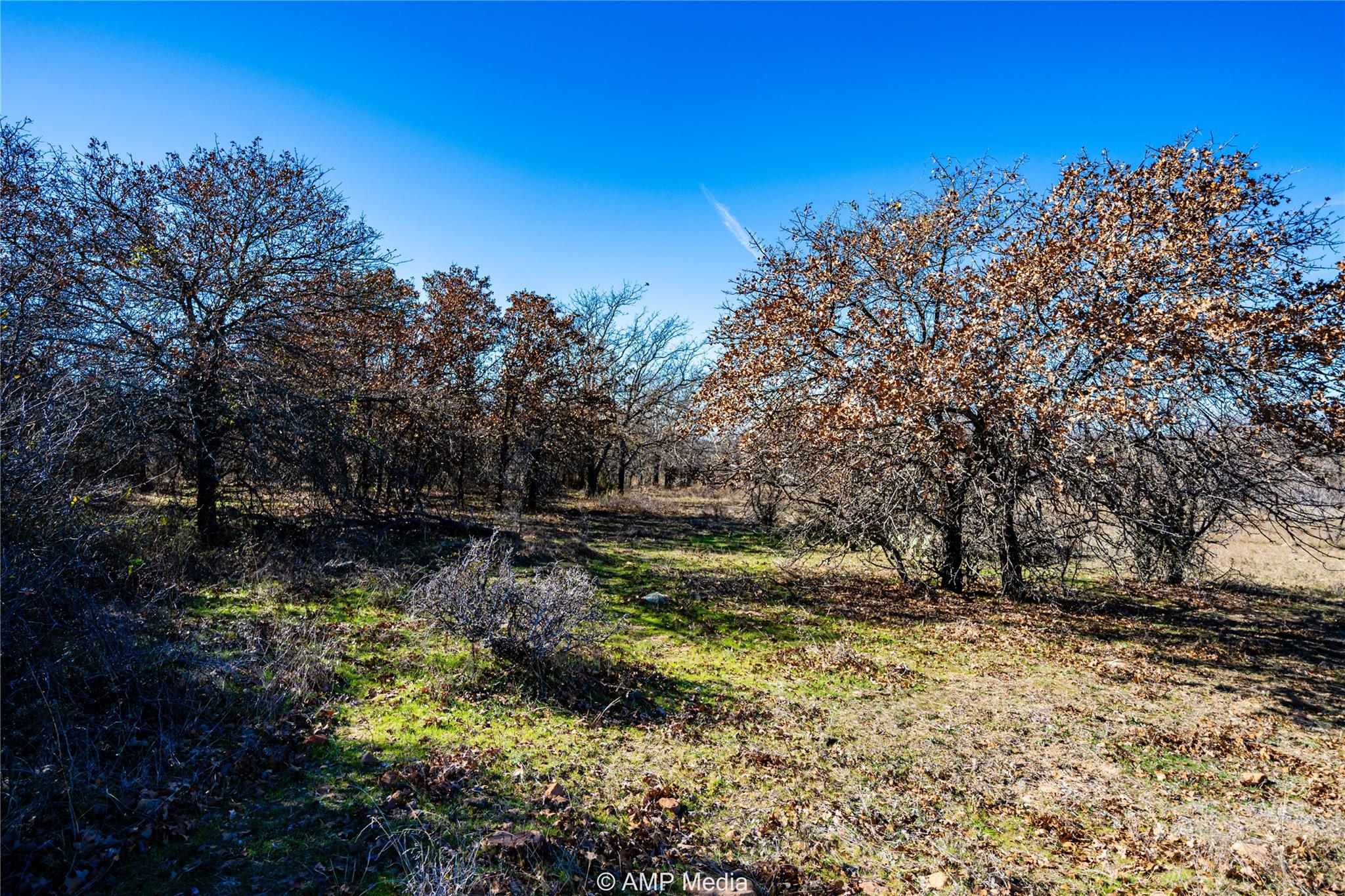main property photo 11