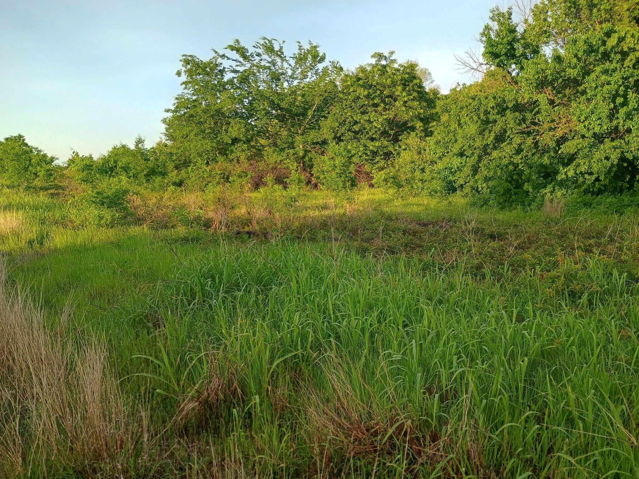 main property photo 14