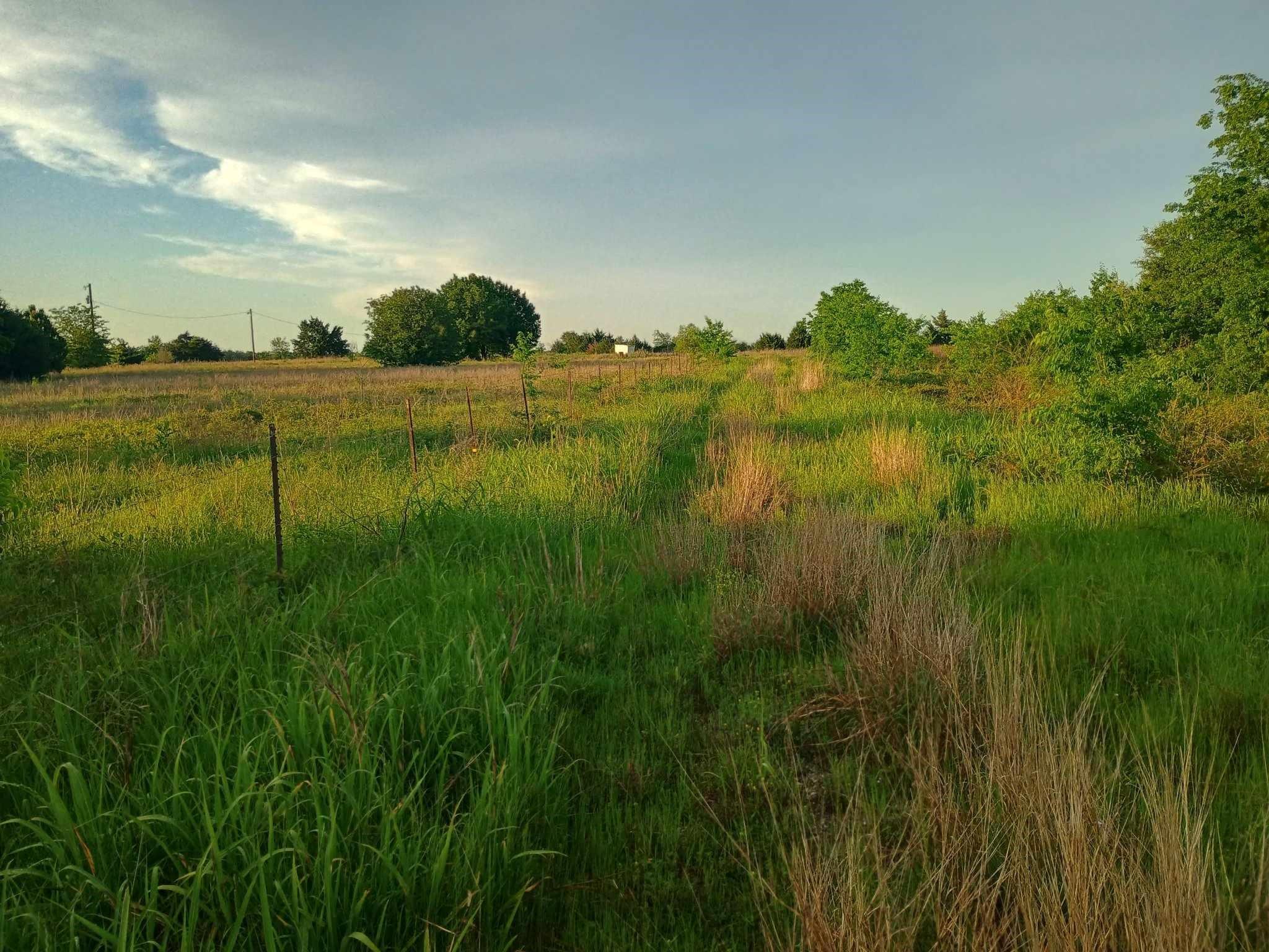 main property photo 15
