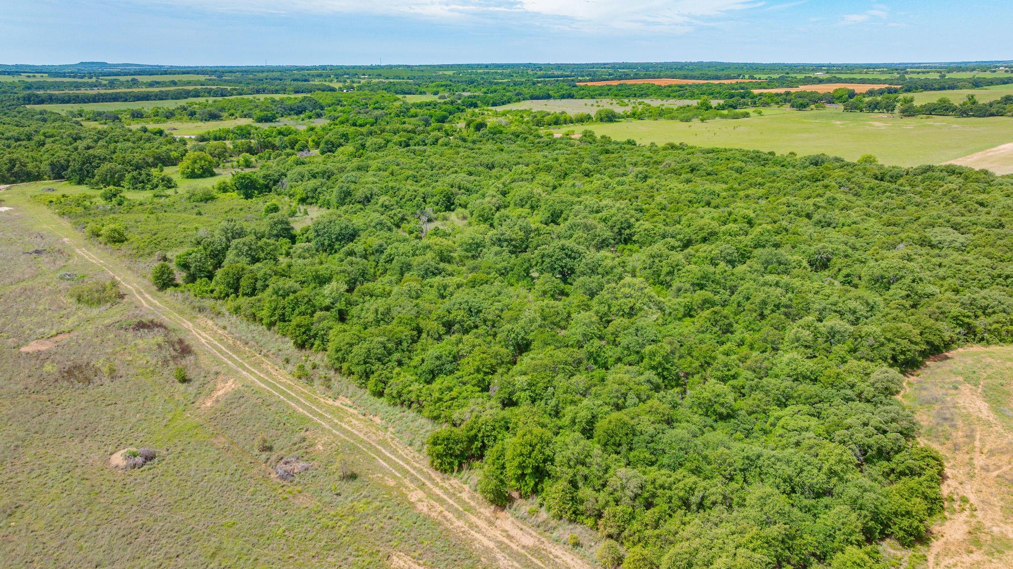 main property photo 37