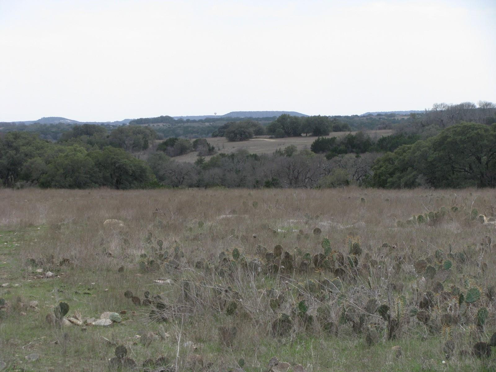 main property photo 16