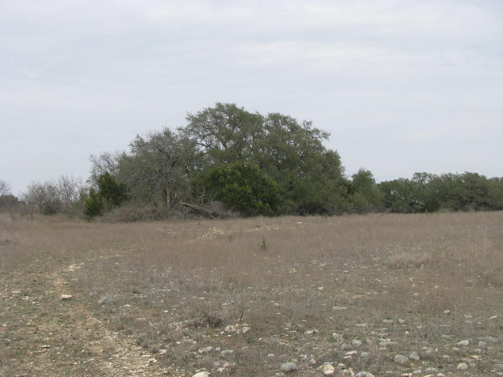 main property photo 18