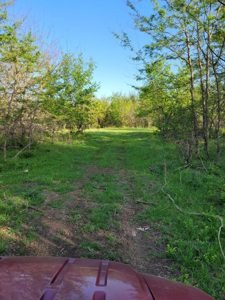 main property photo 10