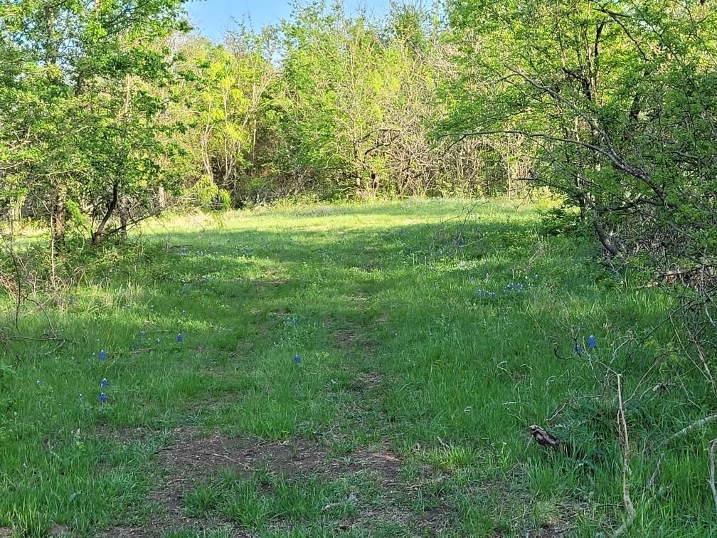 main property photo 11