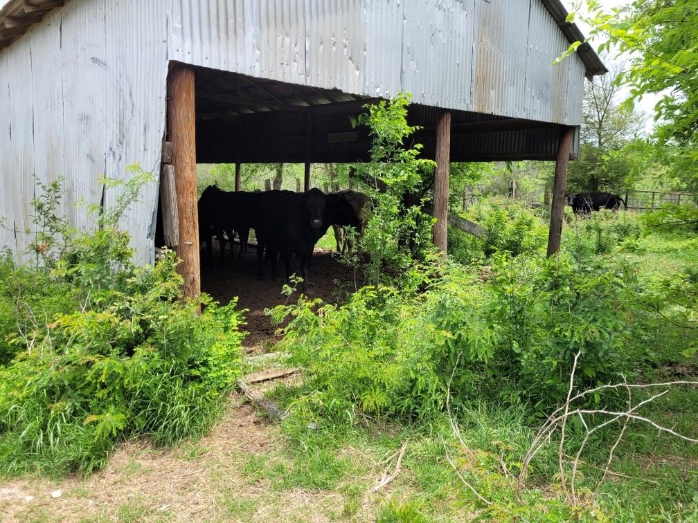 main property photo 12