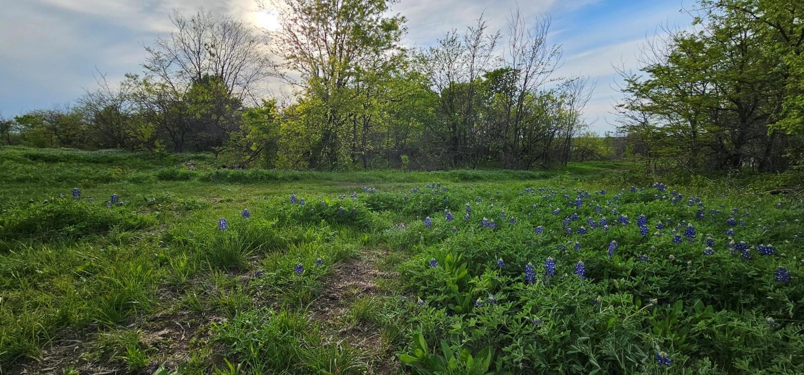 main property photo 18