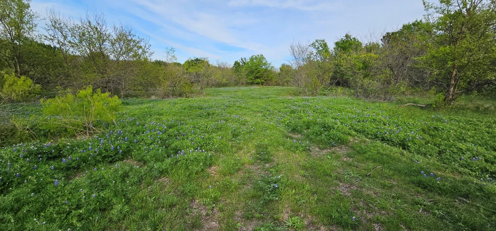 main property photo 19