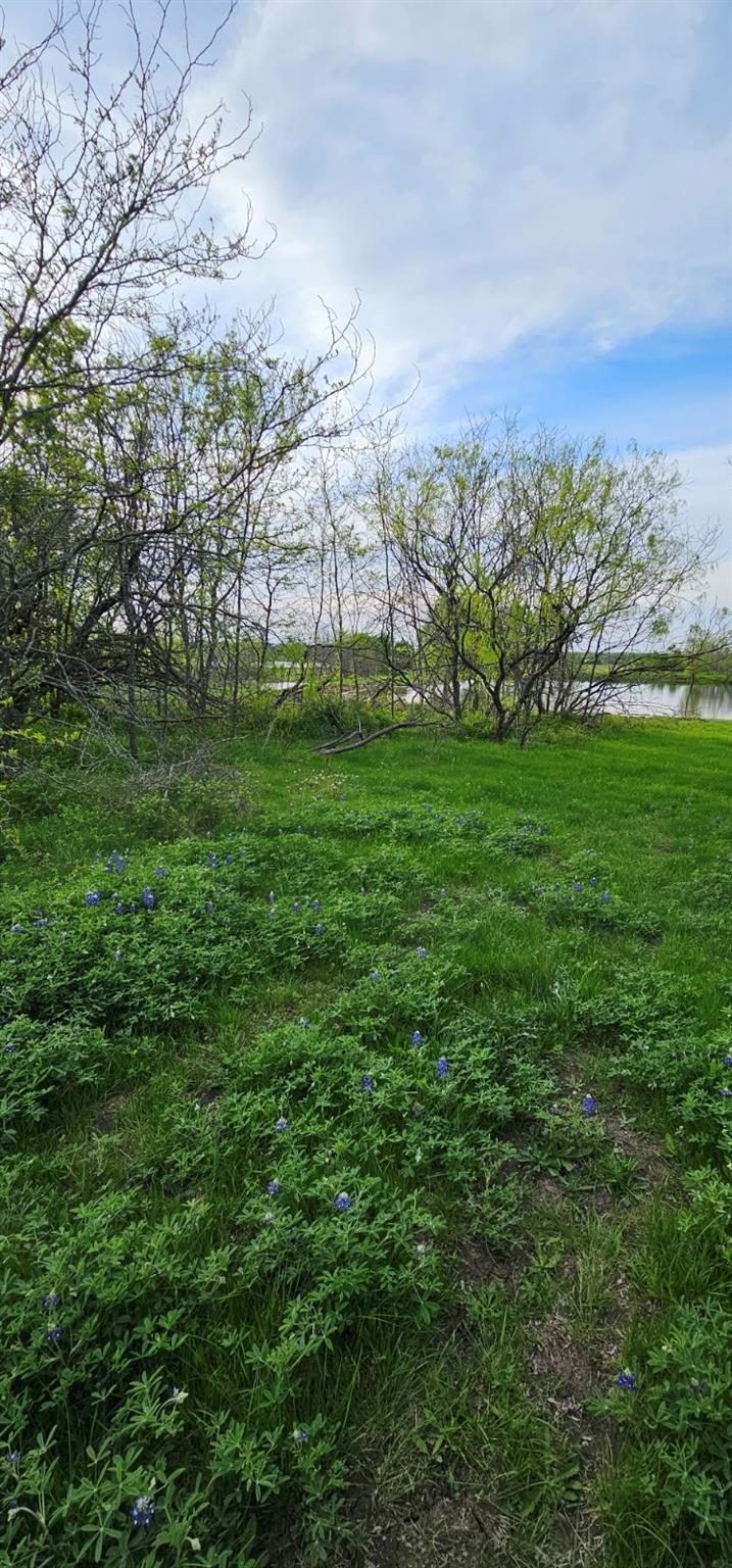 main property photo 21