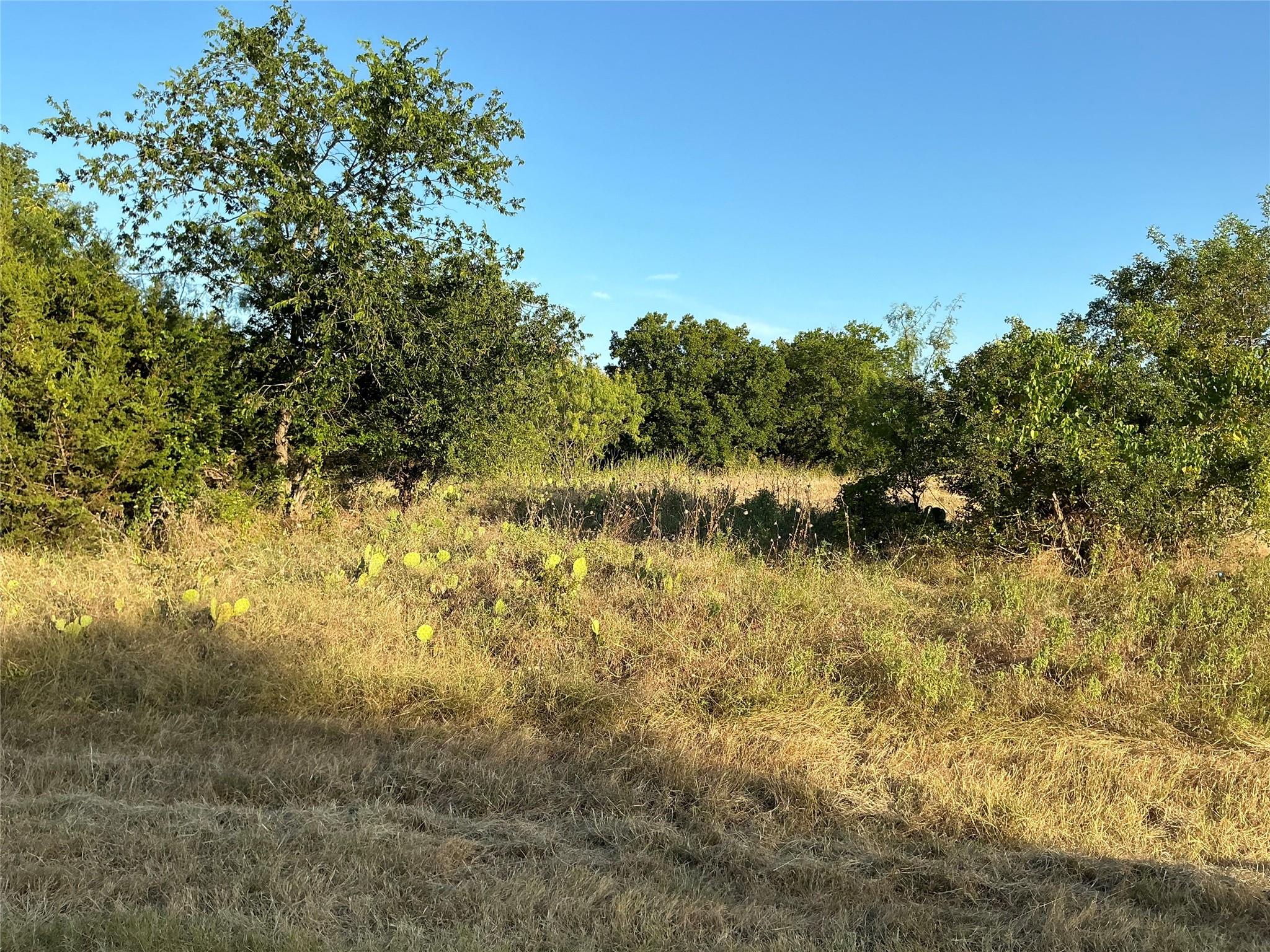 main property photo 13