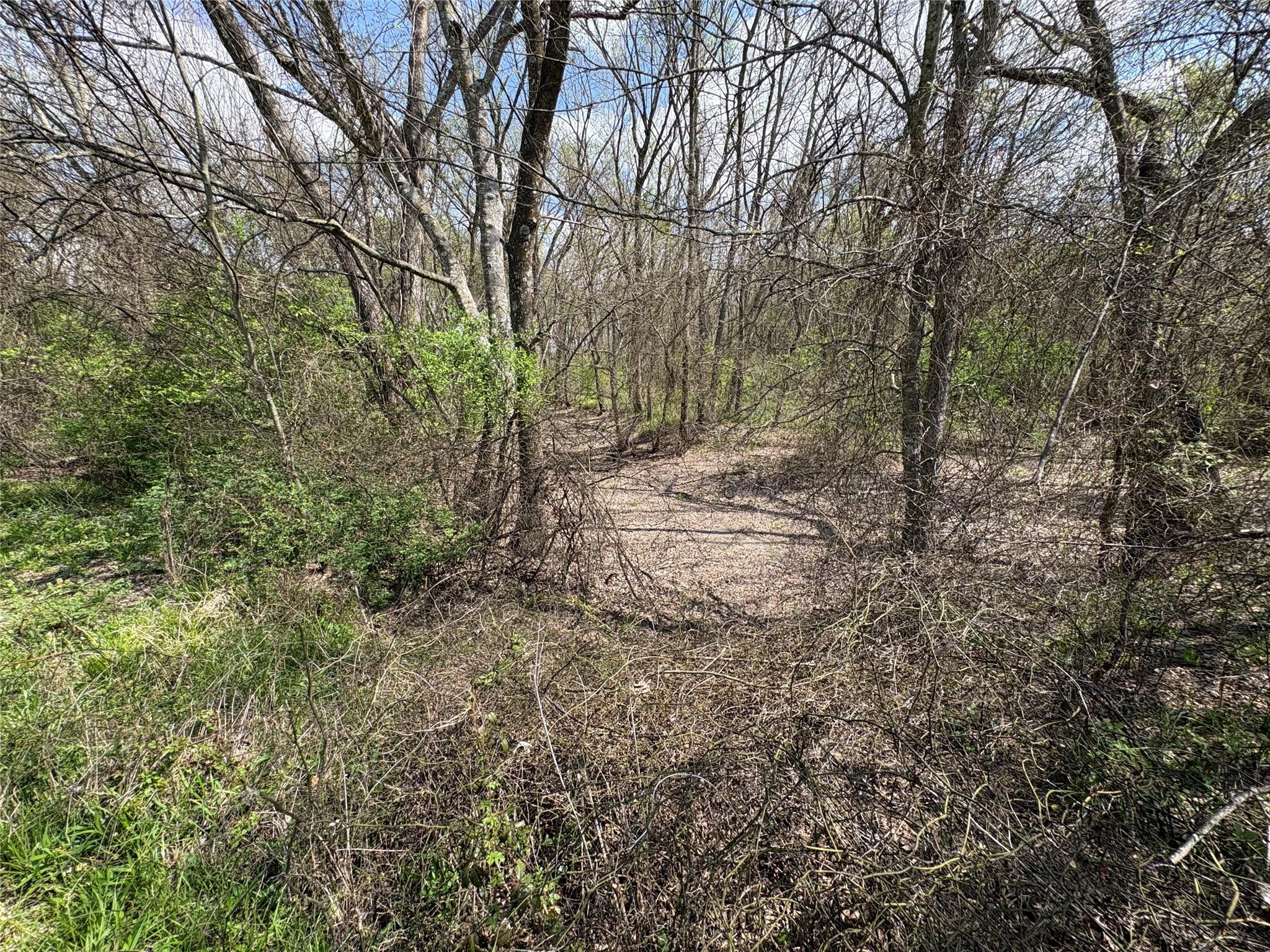 main property photo 10