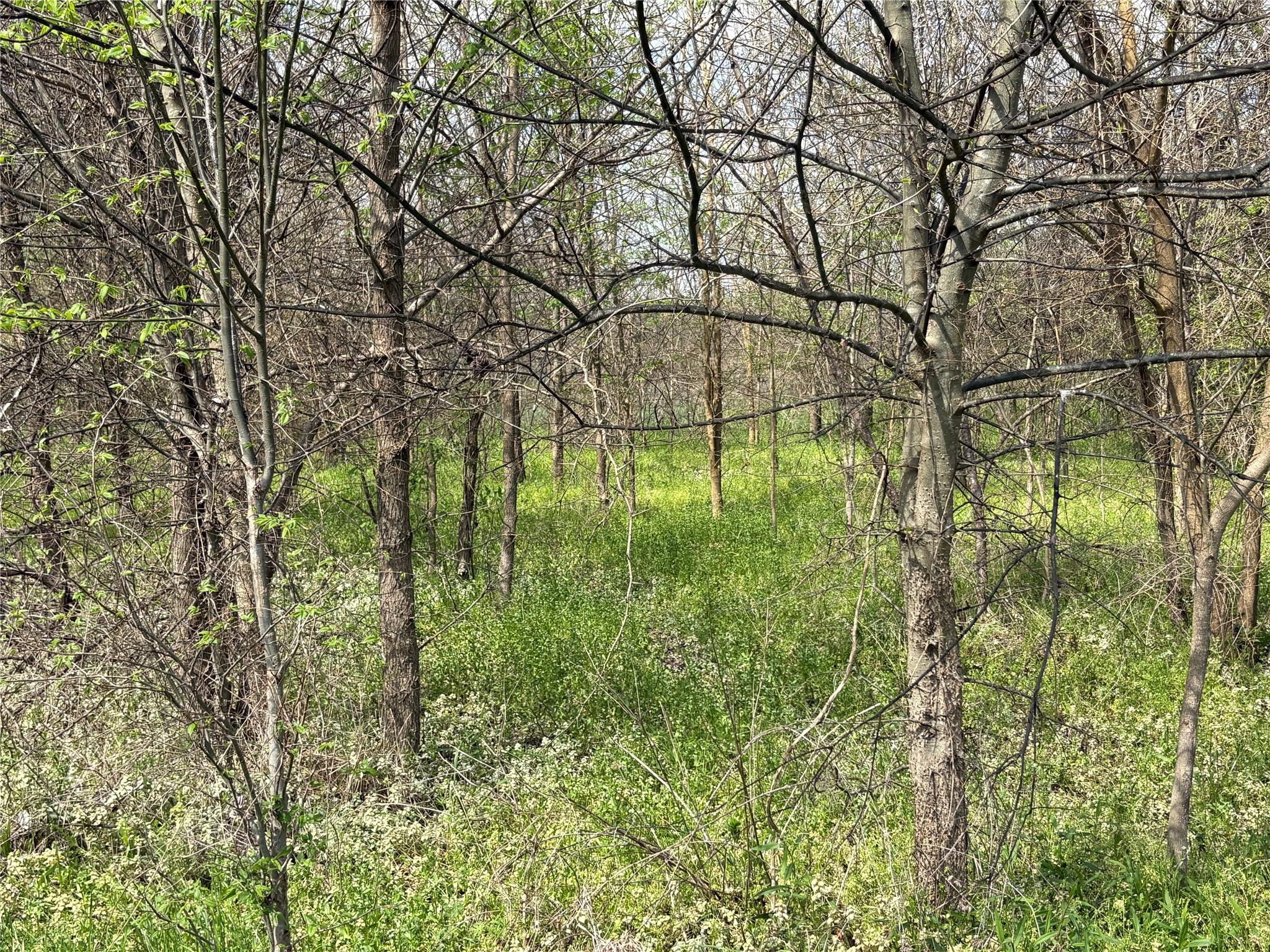 main property photo 19