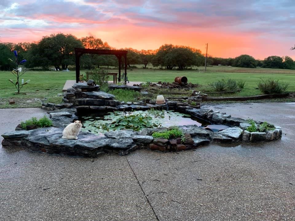 main property photo 38