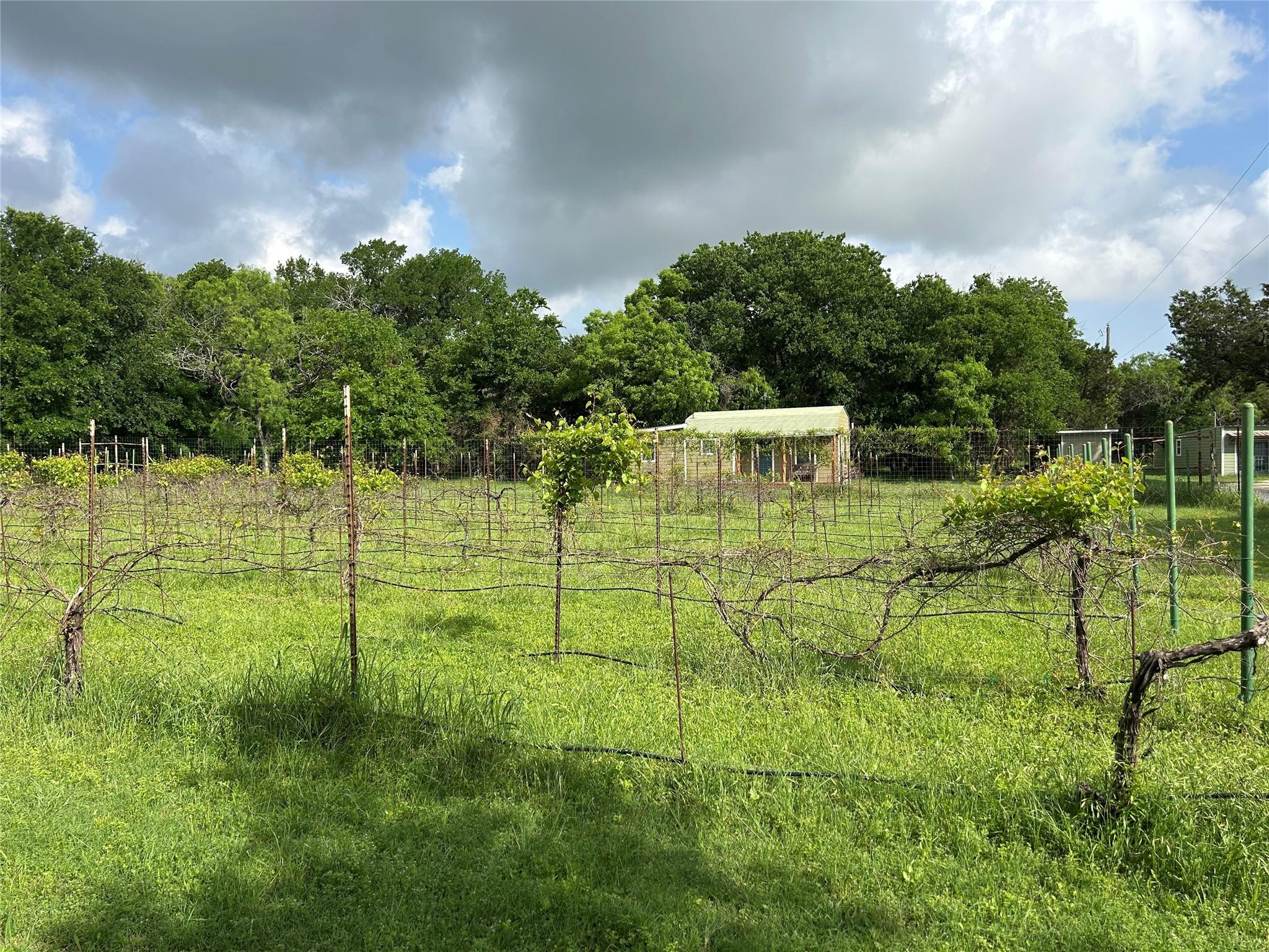 main property photo 8