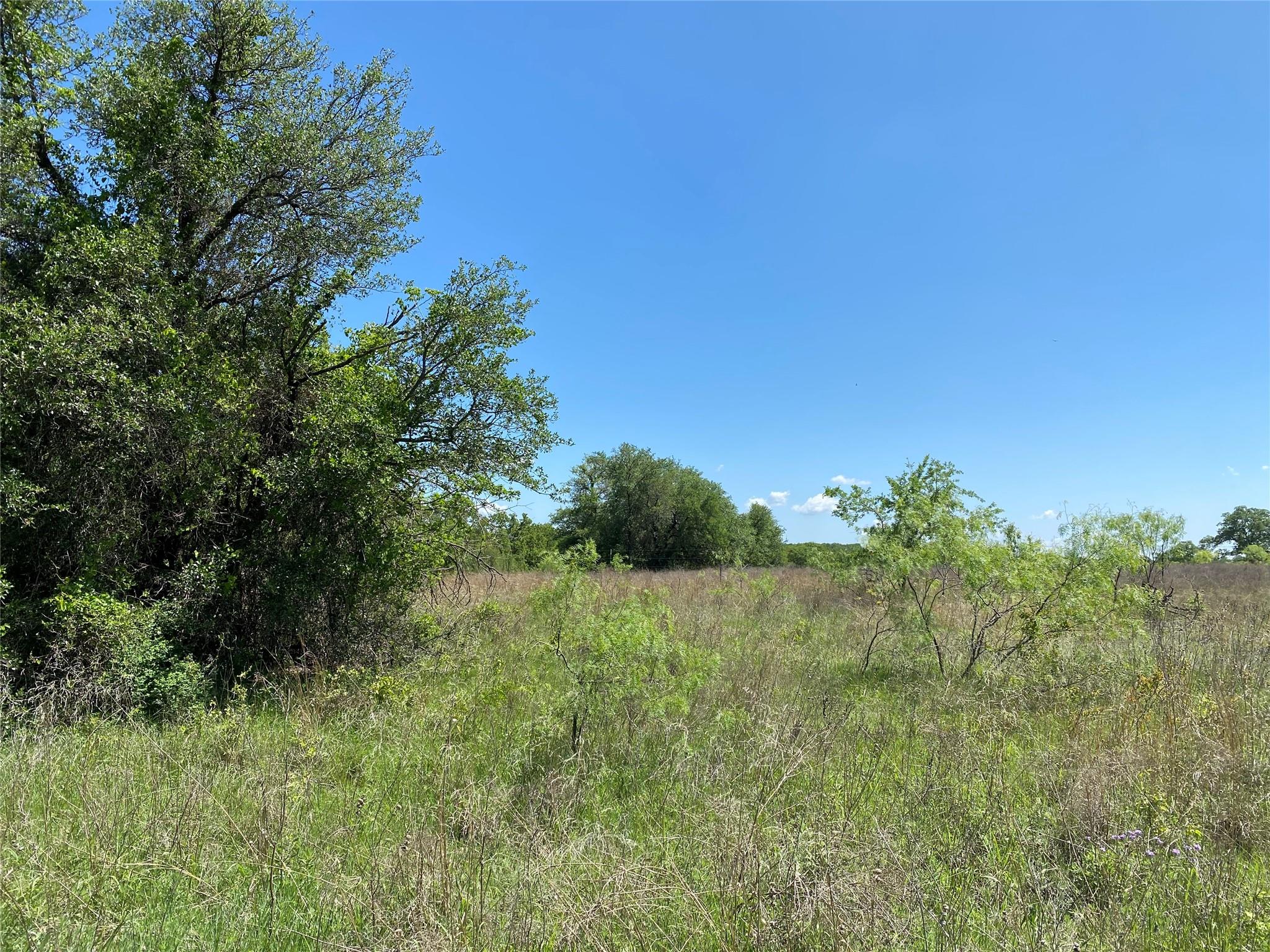 main property photo 10