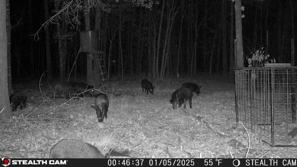 main property photo 7