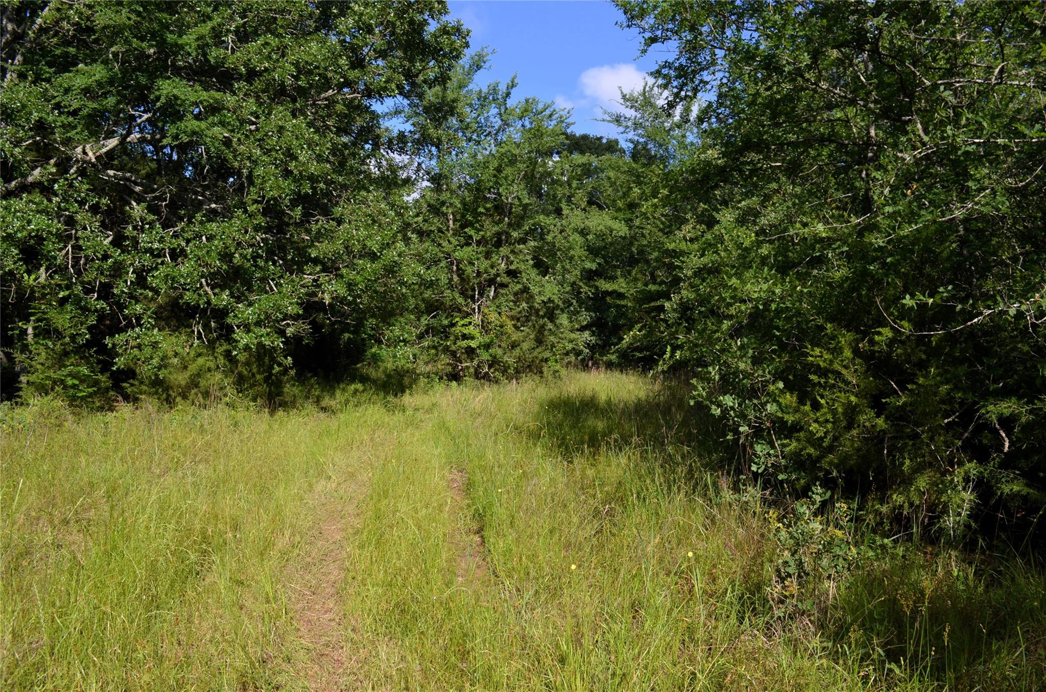 main property photo 16