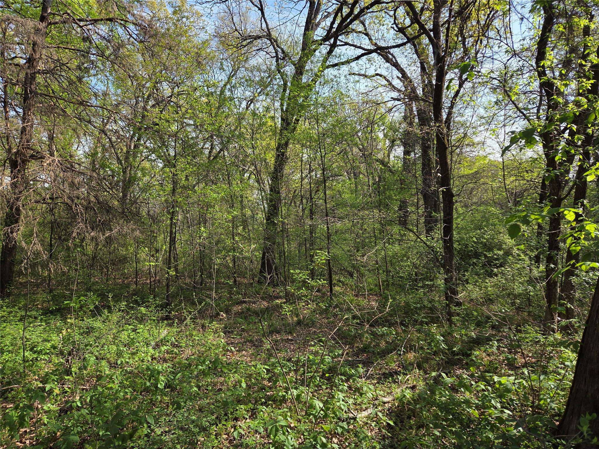 main property photo 21