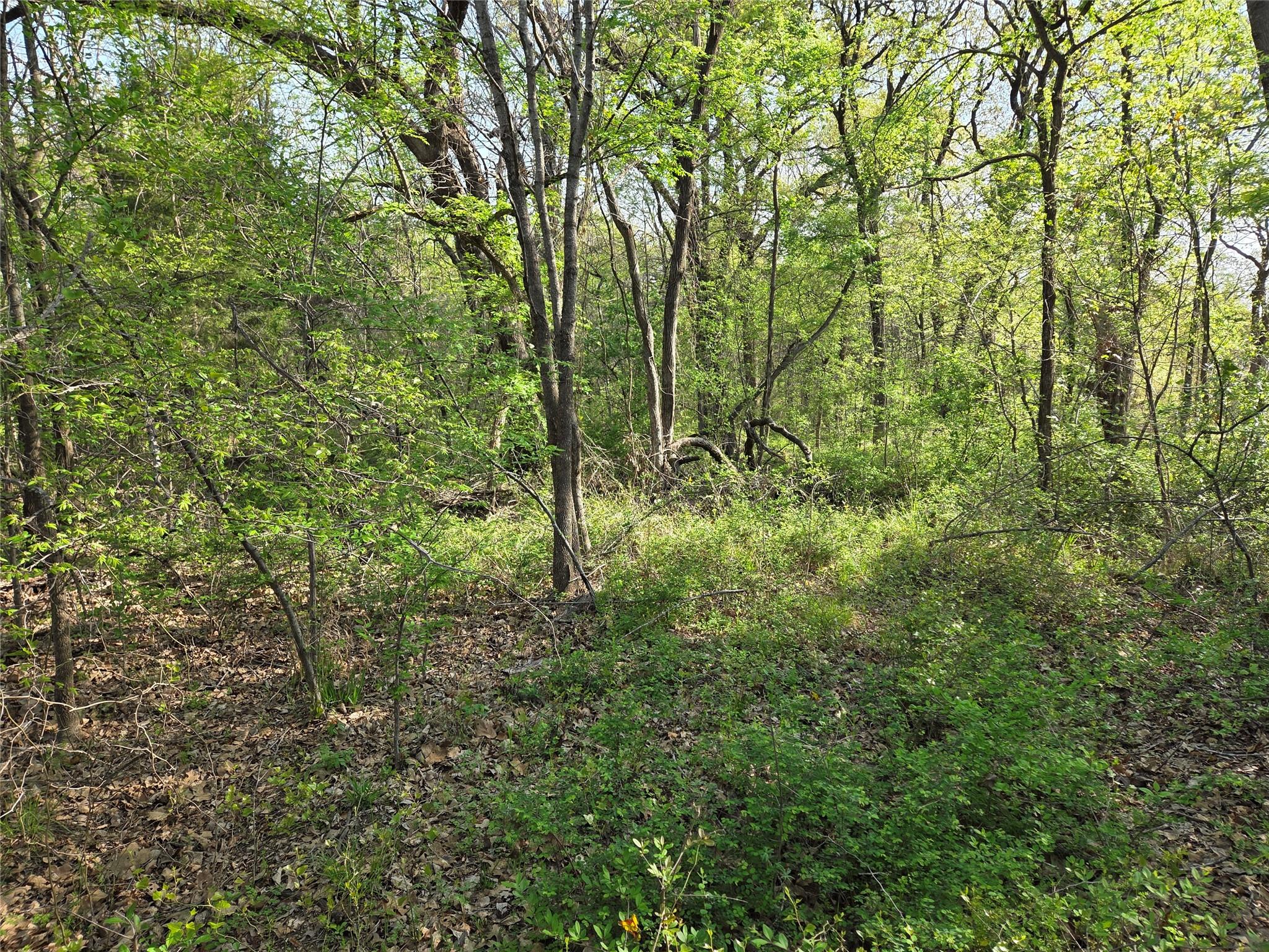 main property photo 30