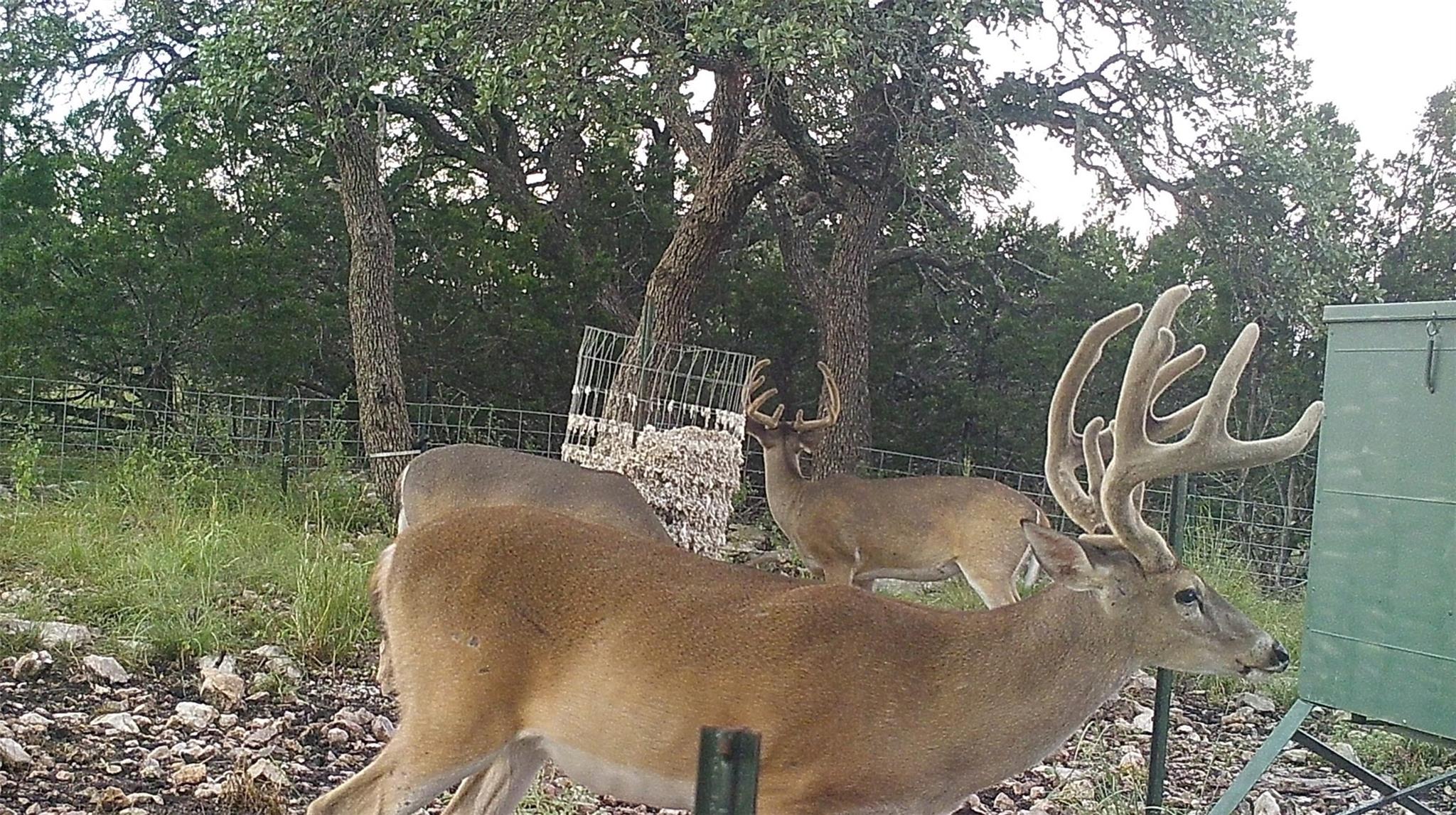 main property photo 15