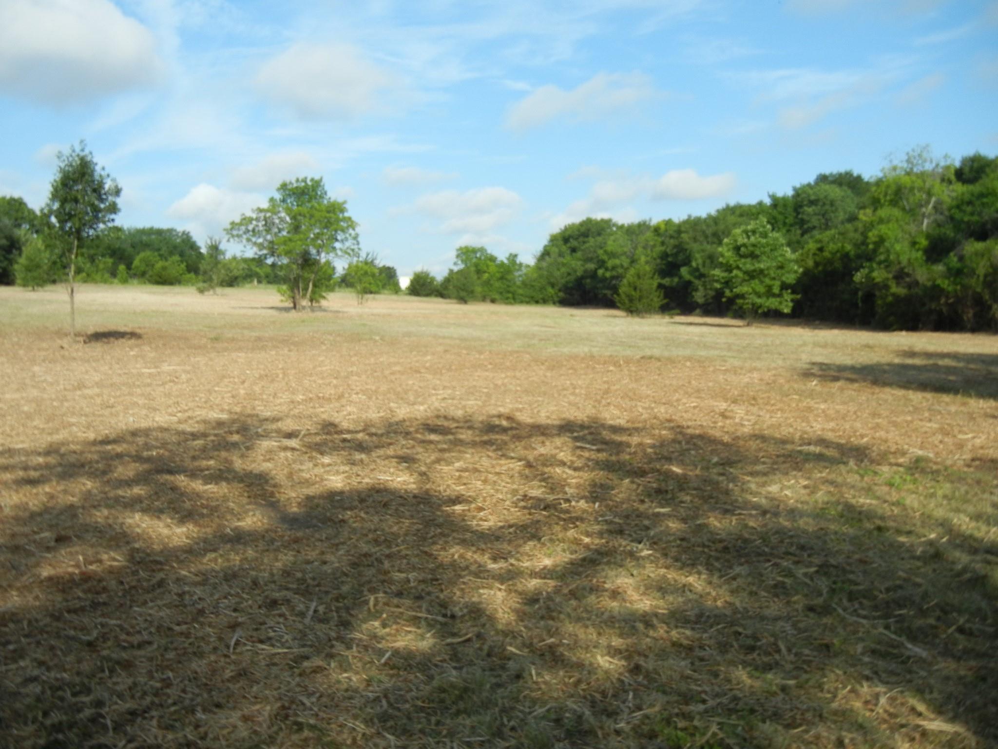 main property photo 10