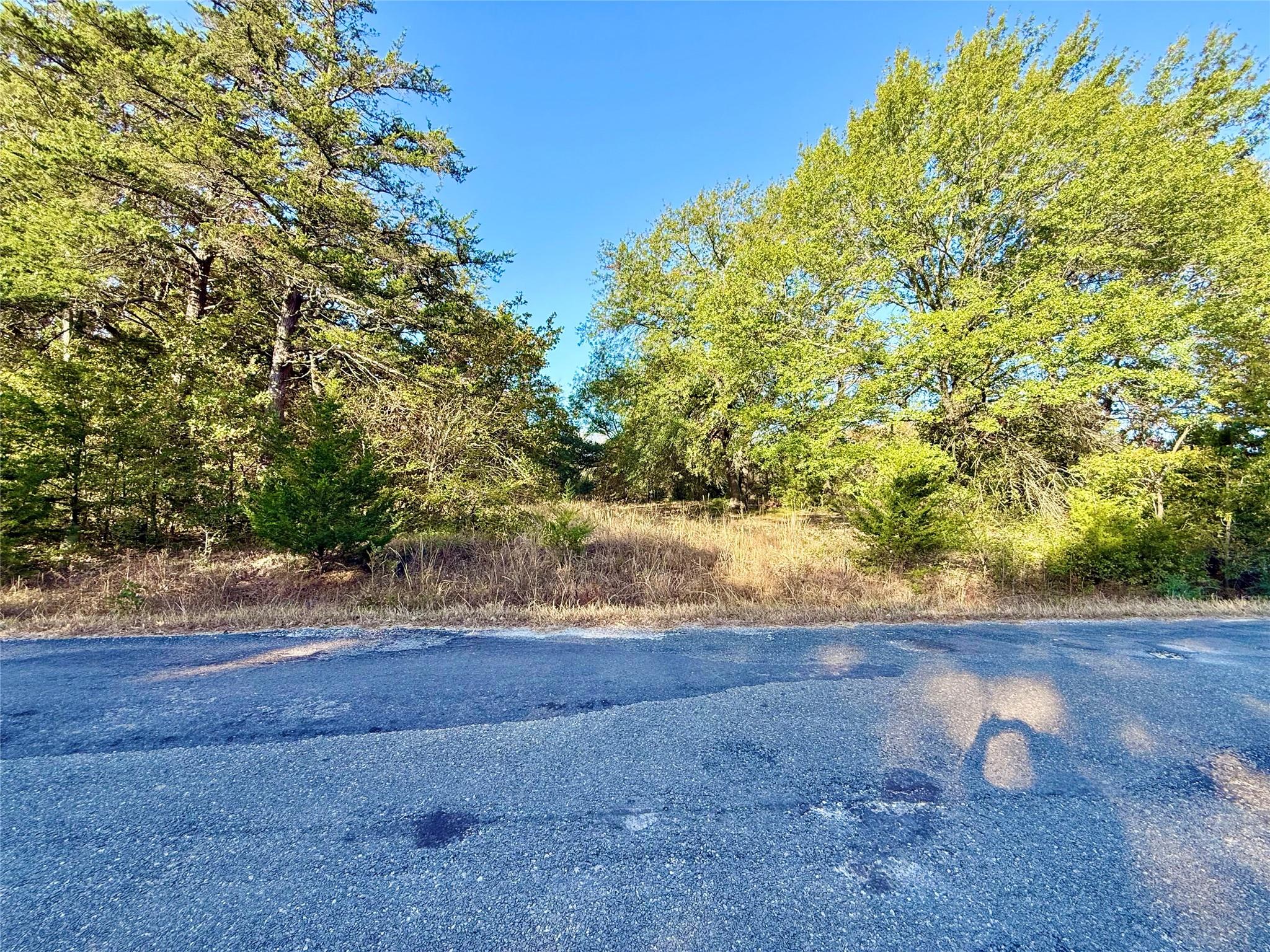 main property photo 5