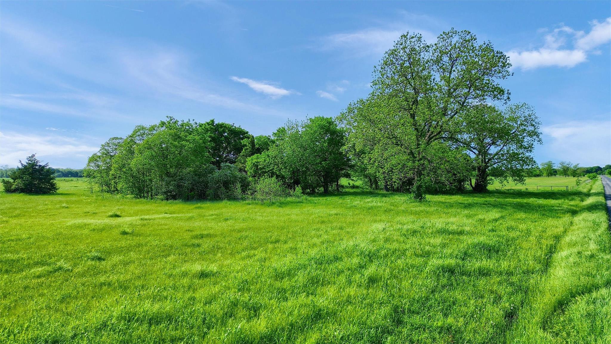main property photo 16