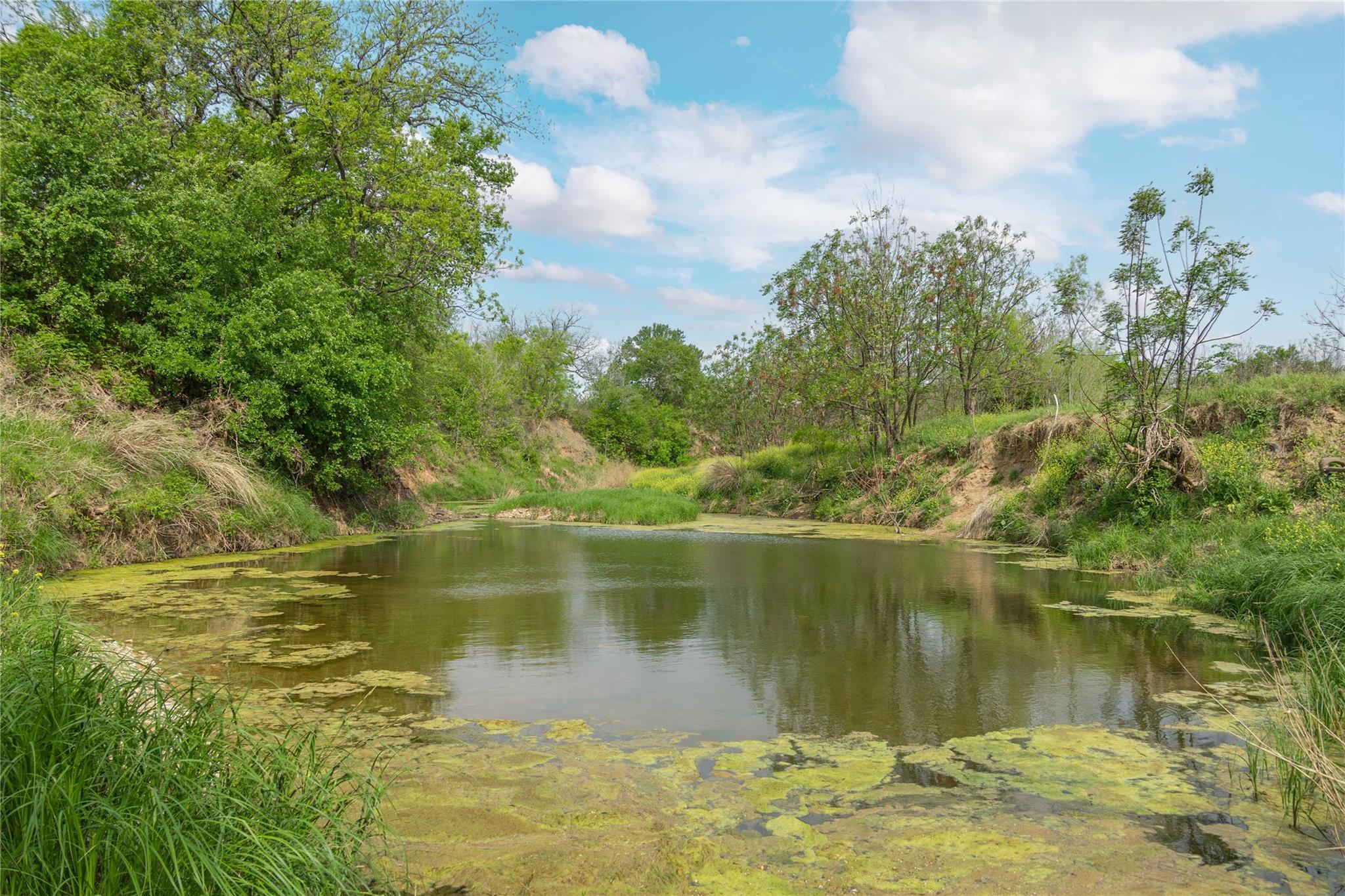 main property photo 18