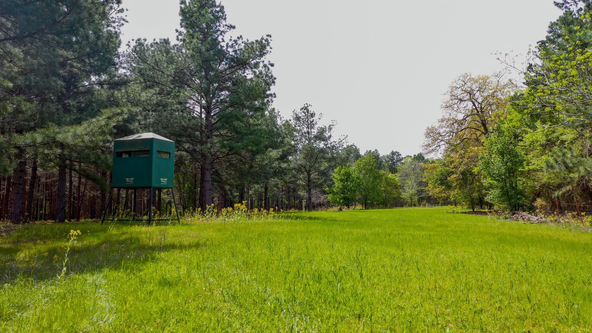 main property photo 7