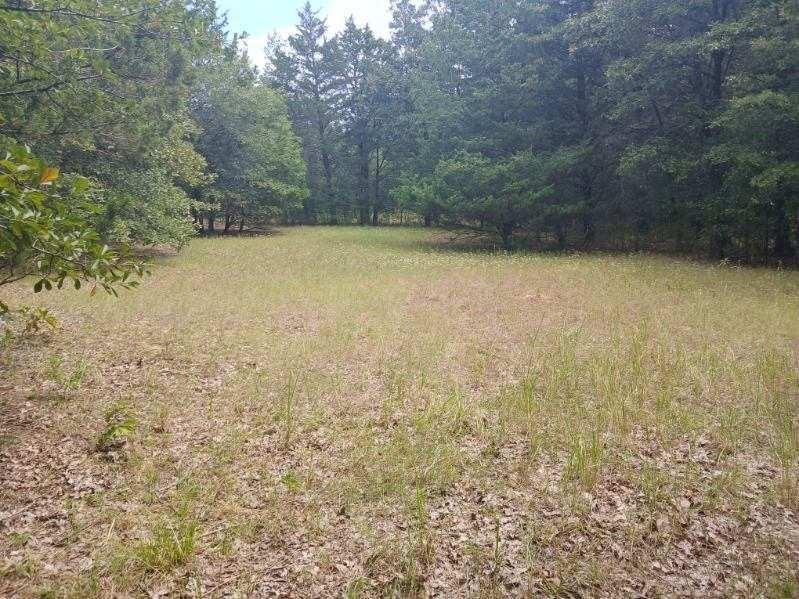 main property photo 26
