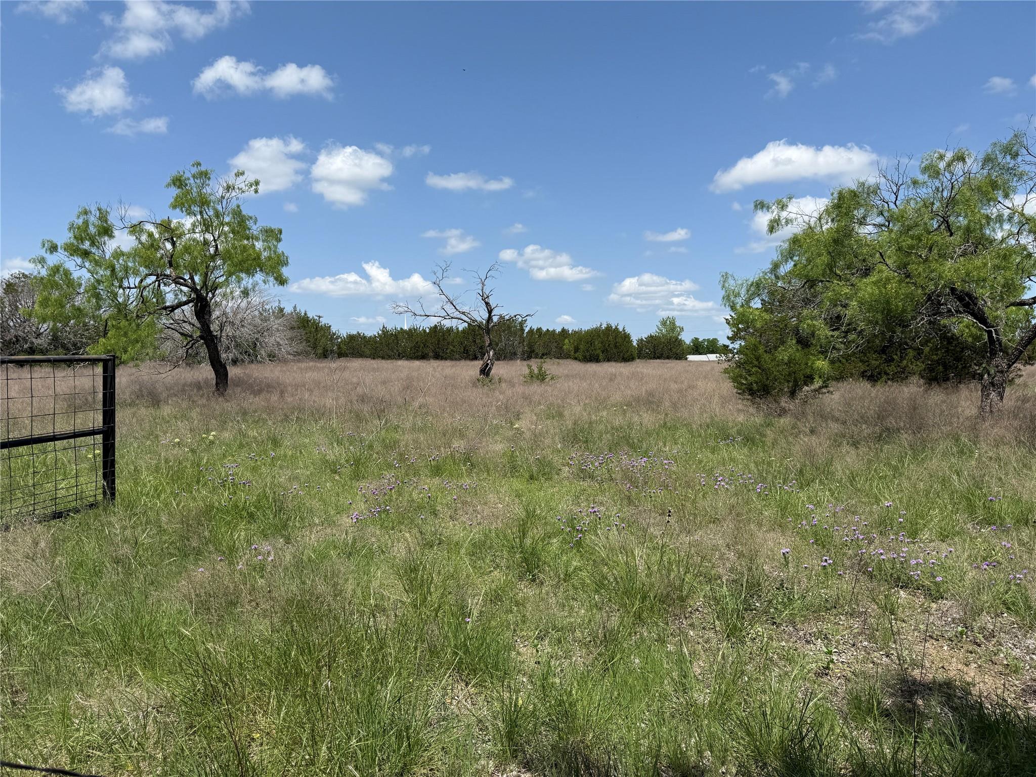 main property photo 39