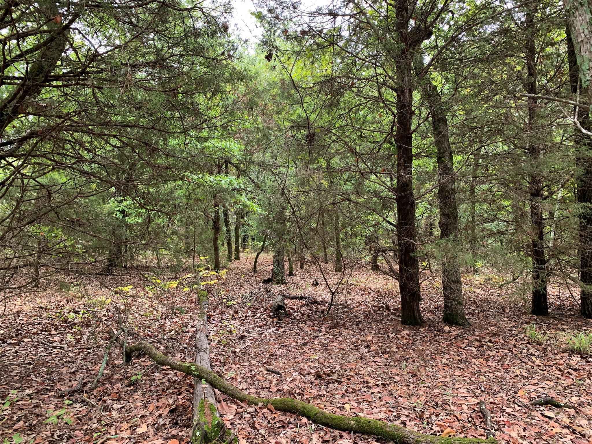 main property photo 9