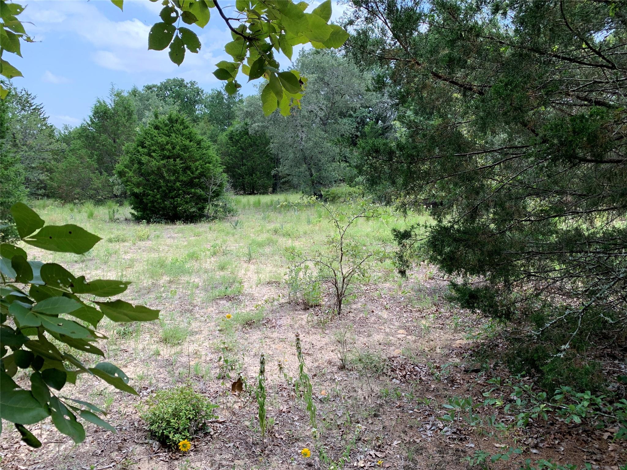 main property photo 12