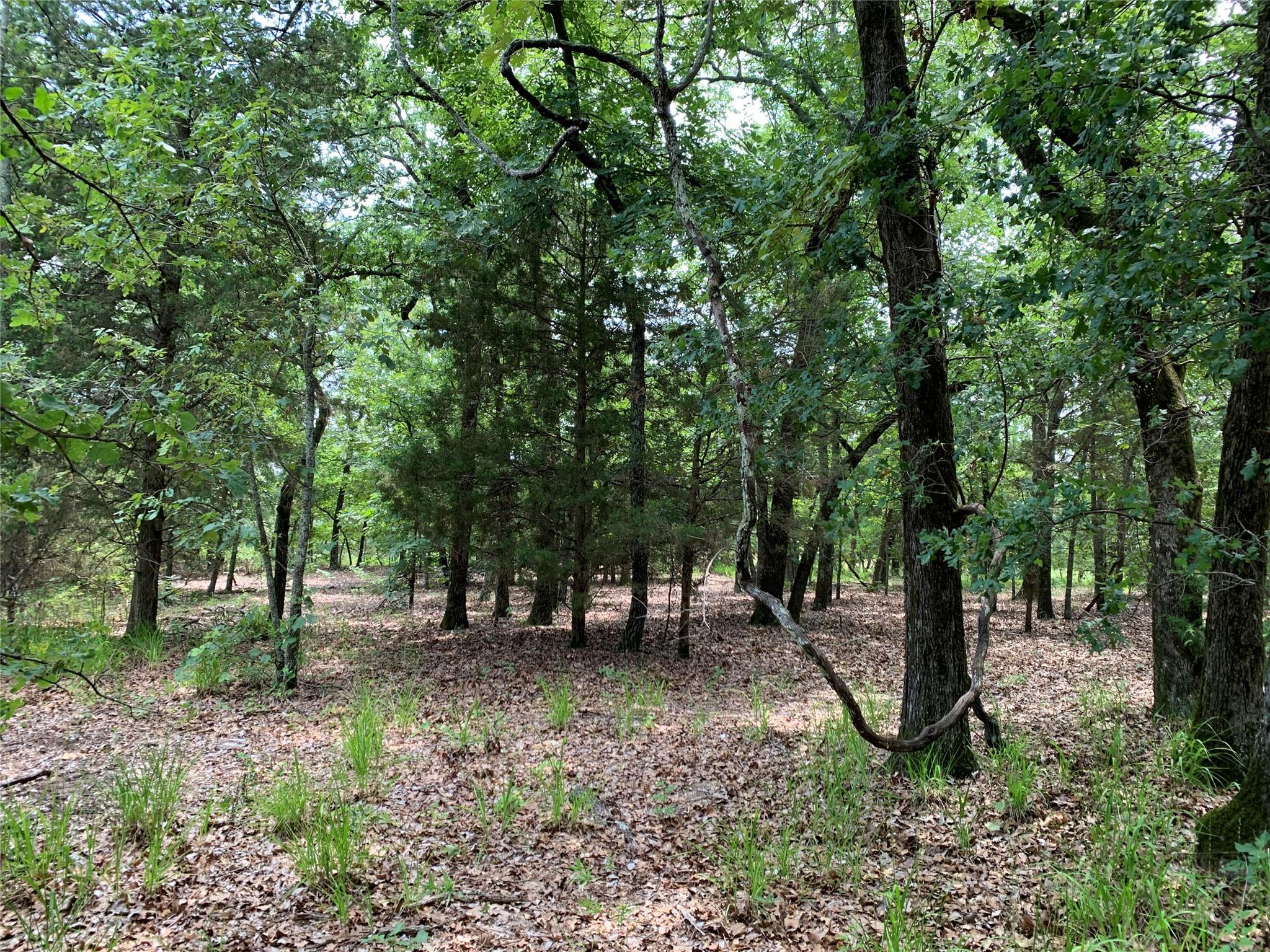 main property photo 14
