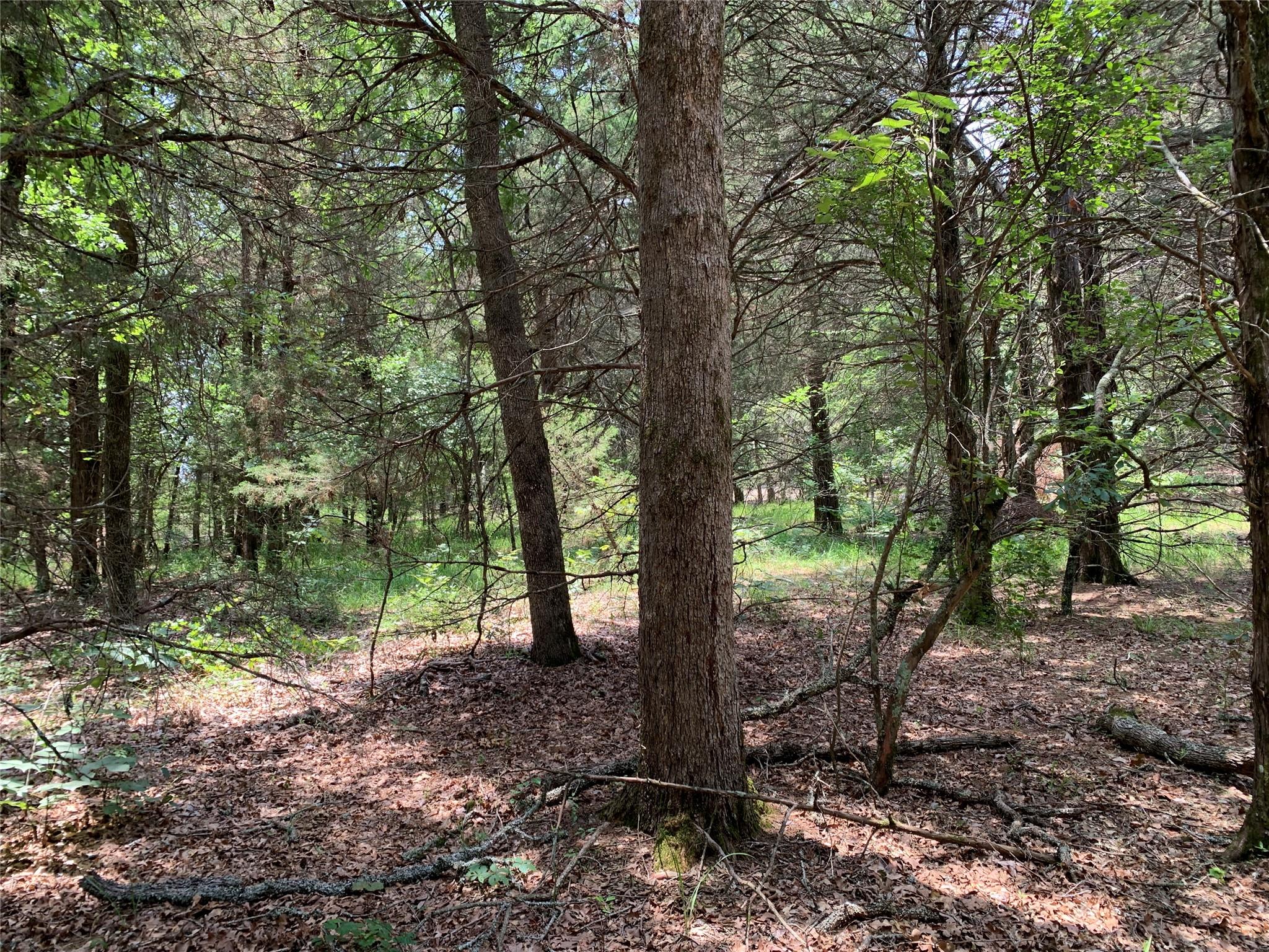 main property photo 20