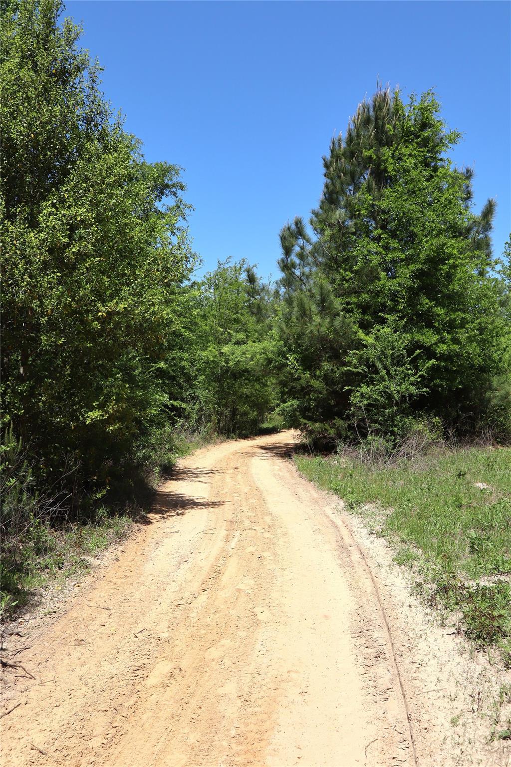 main property photo 9