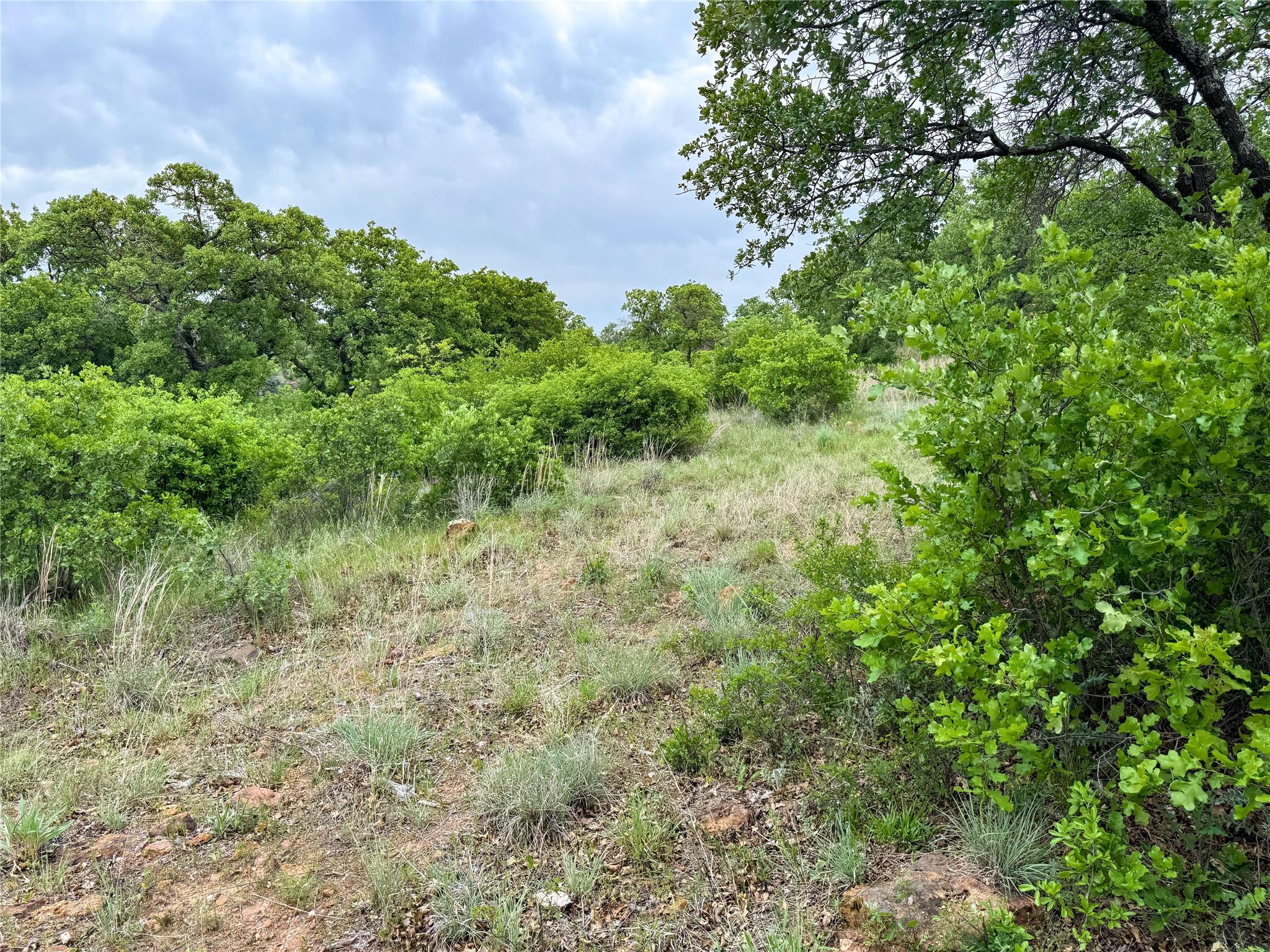 main property photo 10