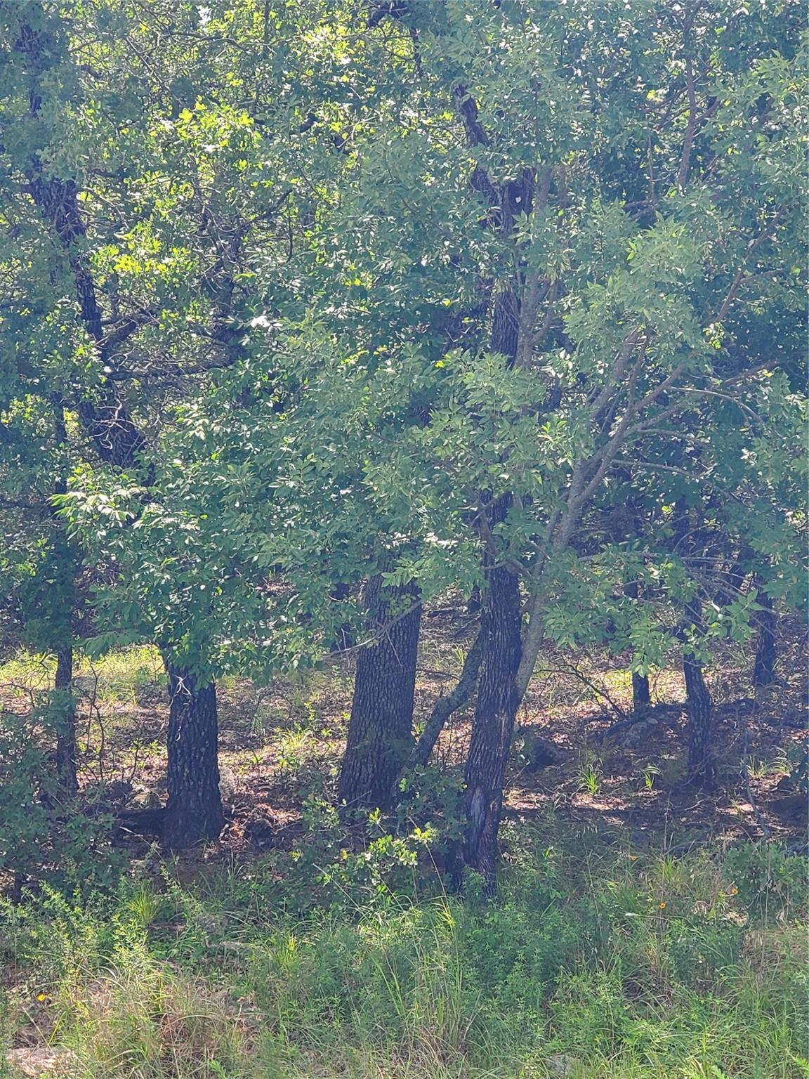main property photo 11
