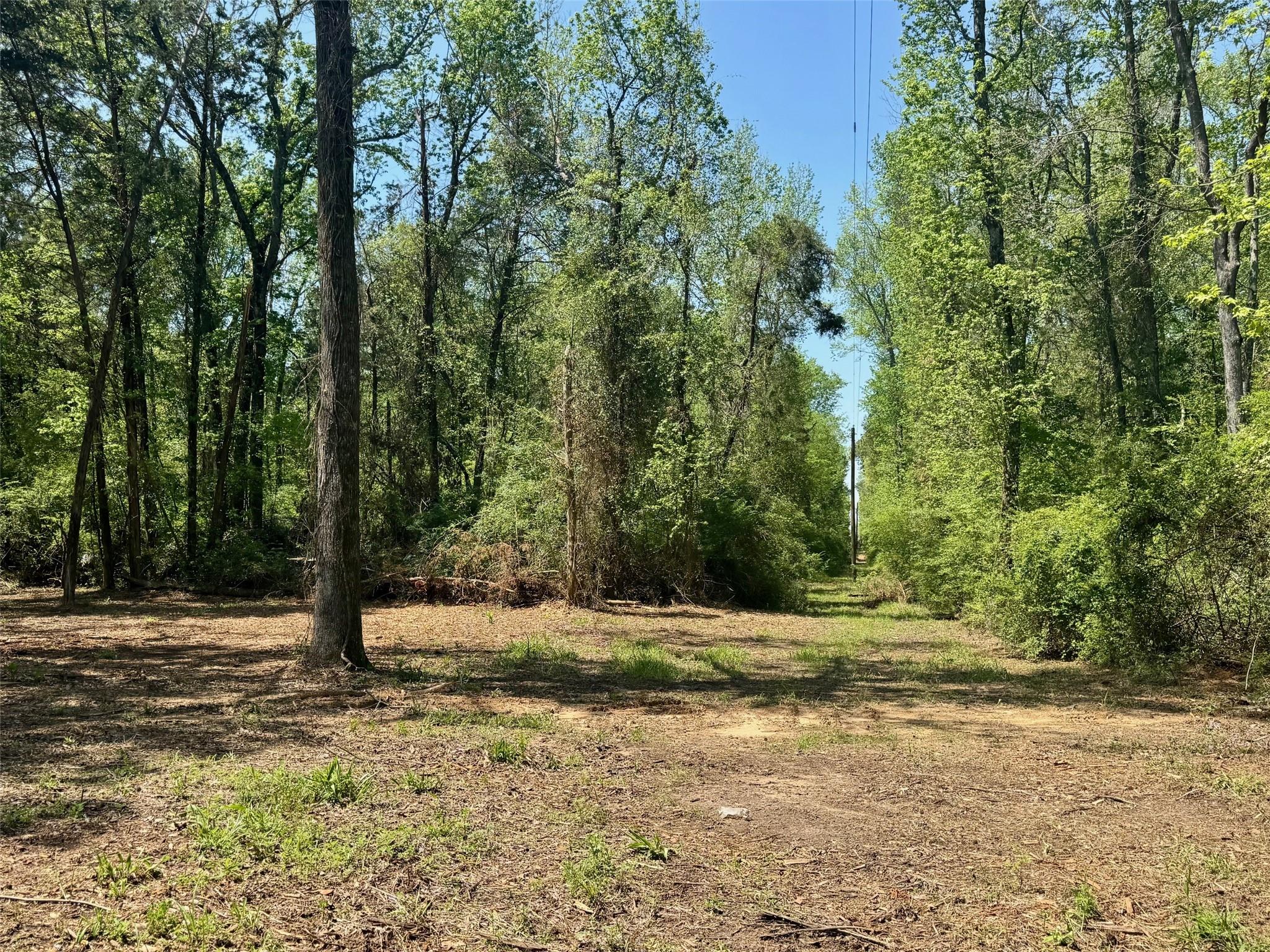 main property photo 12