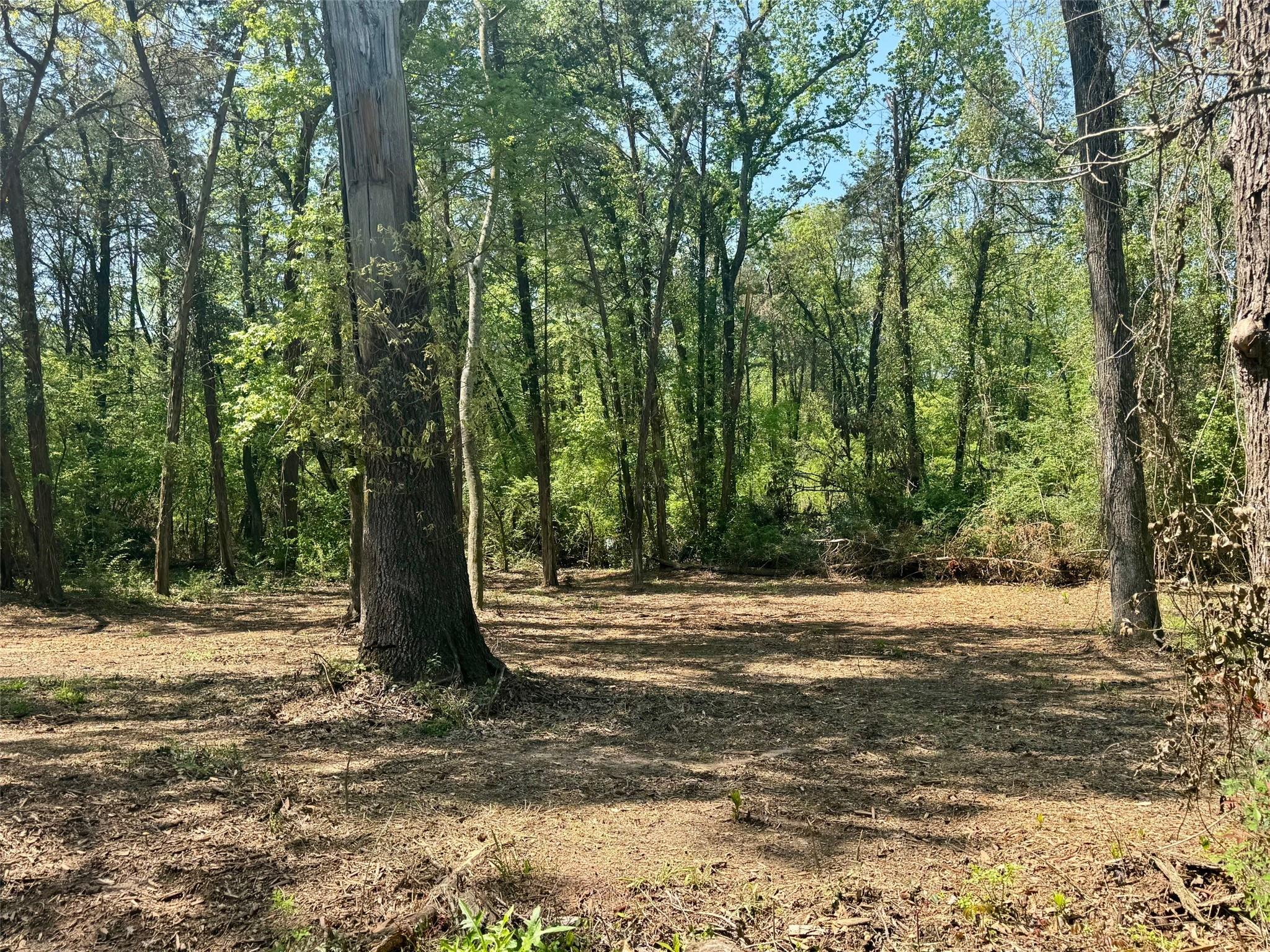 main property photo 10