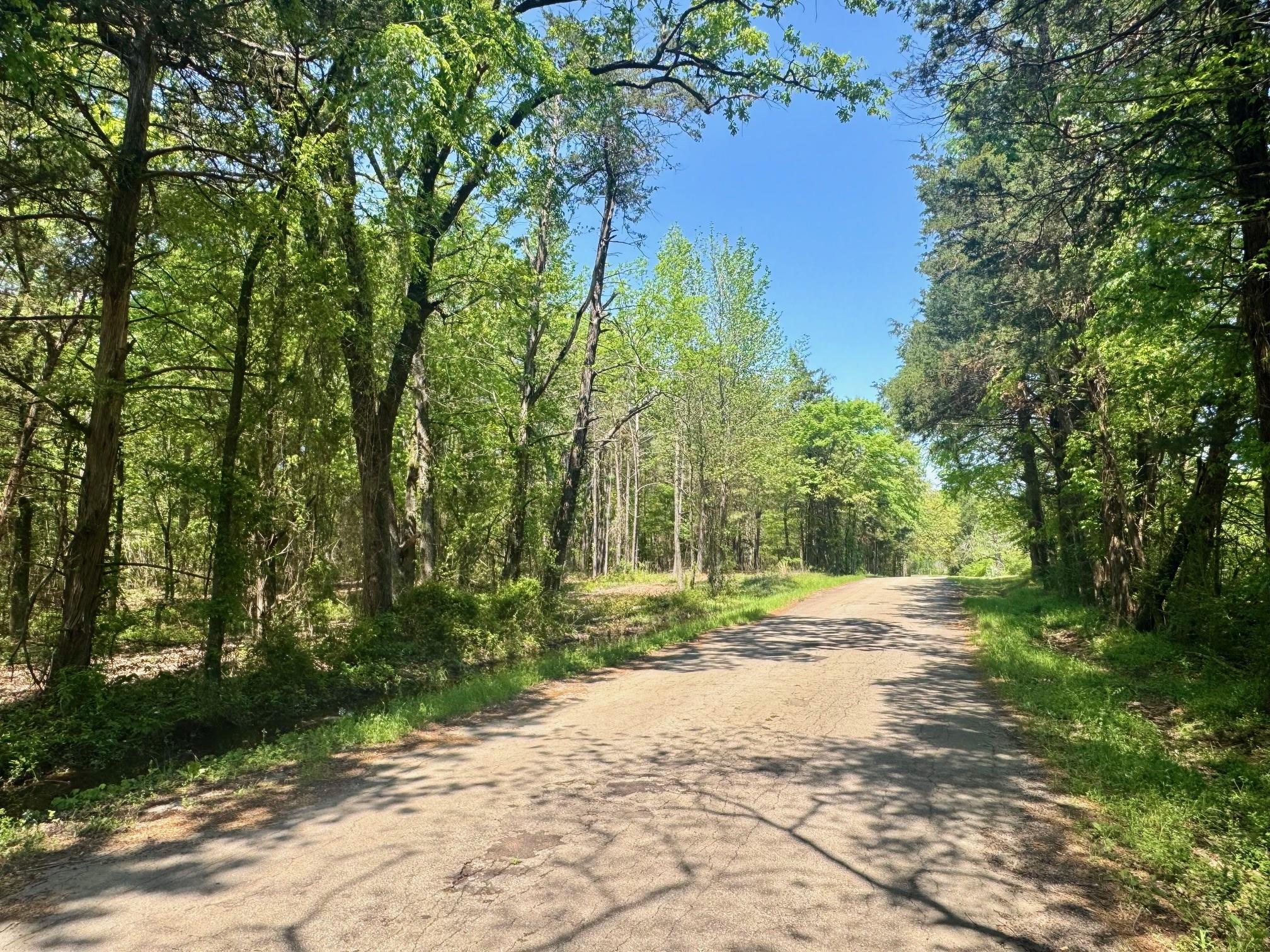 main property photo 15